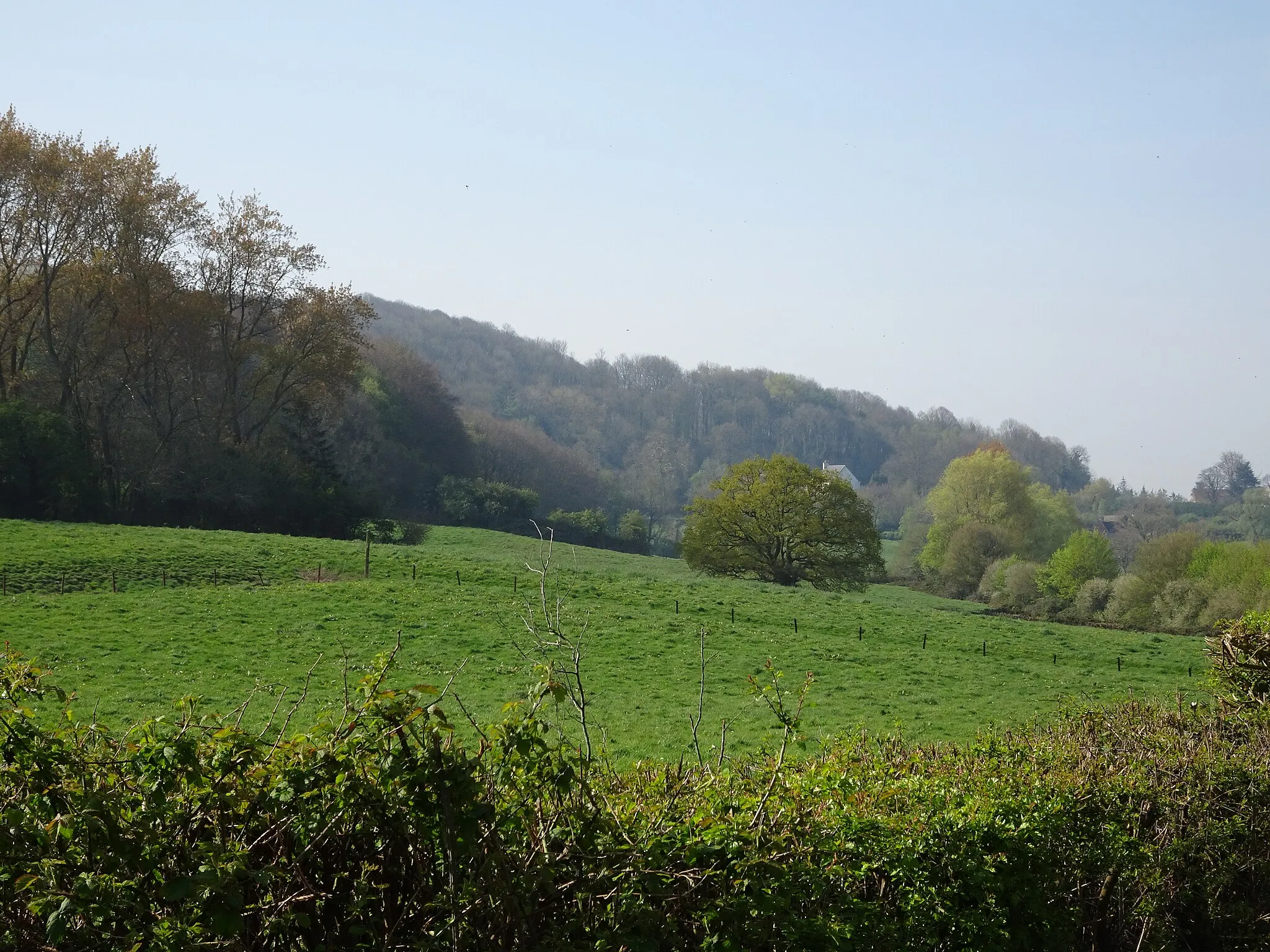 Photo showing: Autour du Mont des Recollets (Wouwenberg) Cassel, Nord.- Hauts-de-France. Depicted place: Mont des Récollets