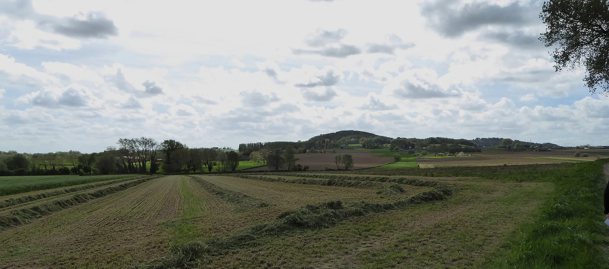 Photo showing: Le Mont des Recollets et le Mont Cassel sur le GR 128 Steenvoorde,.- Hauts-de-France, France.