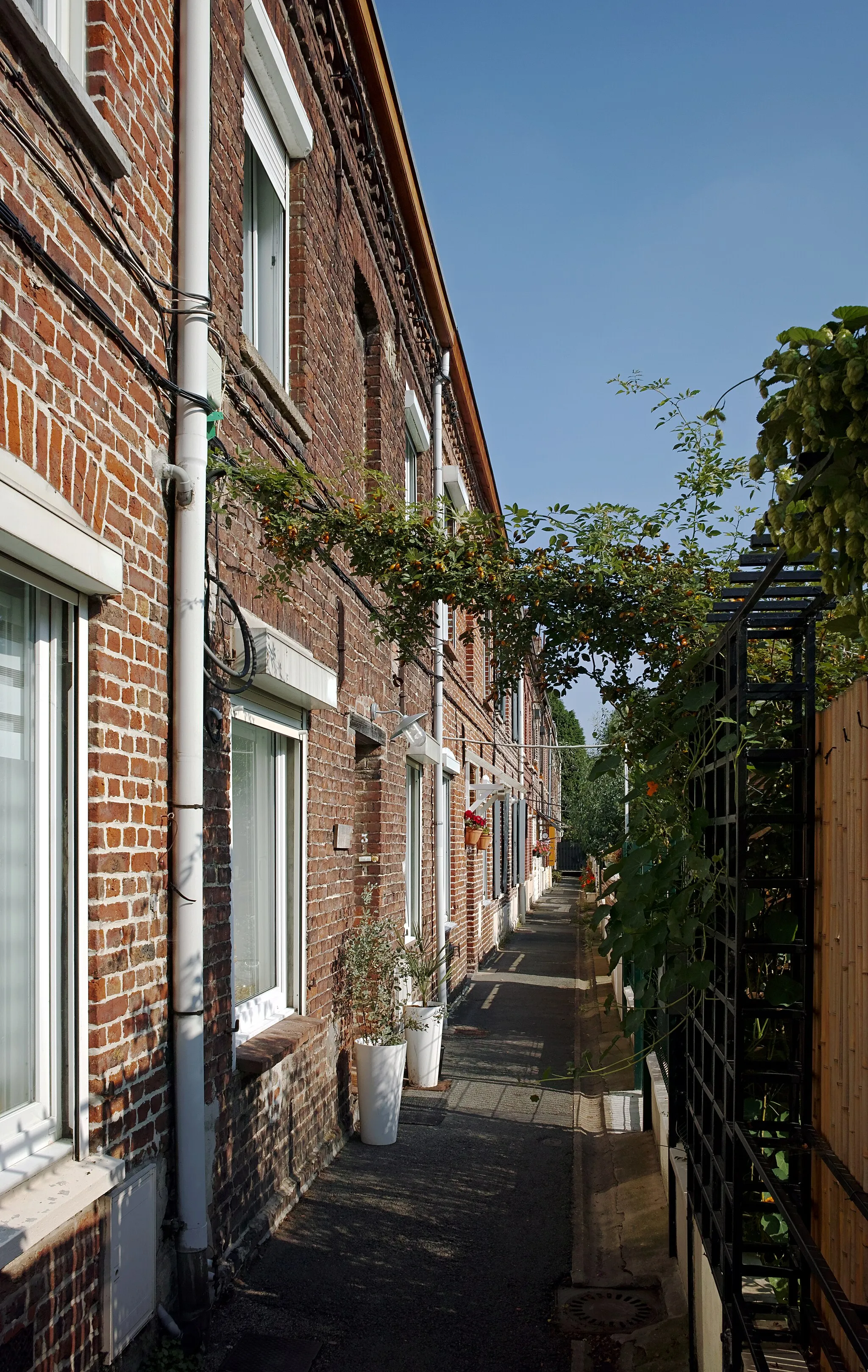 Photo showing: View of Rue du Midi, in Lambersart.