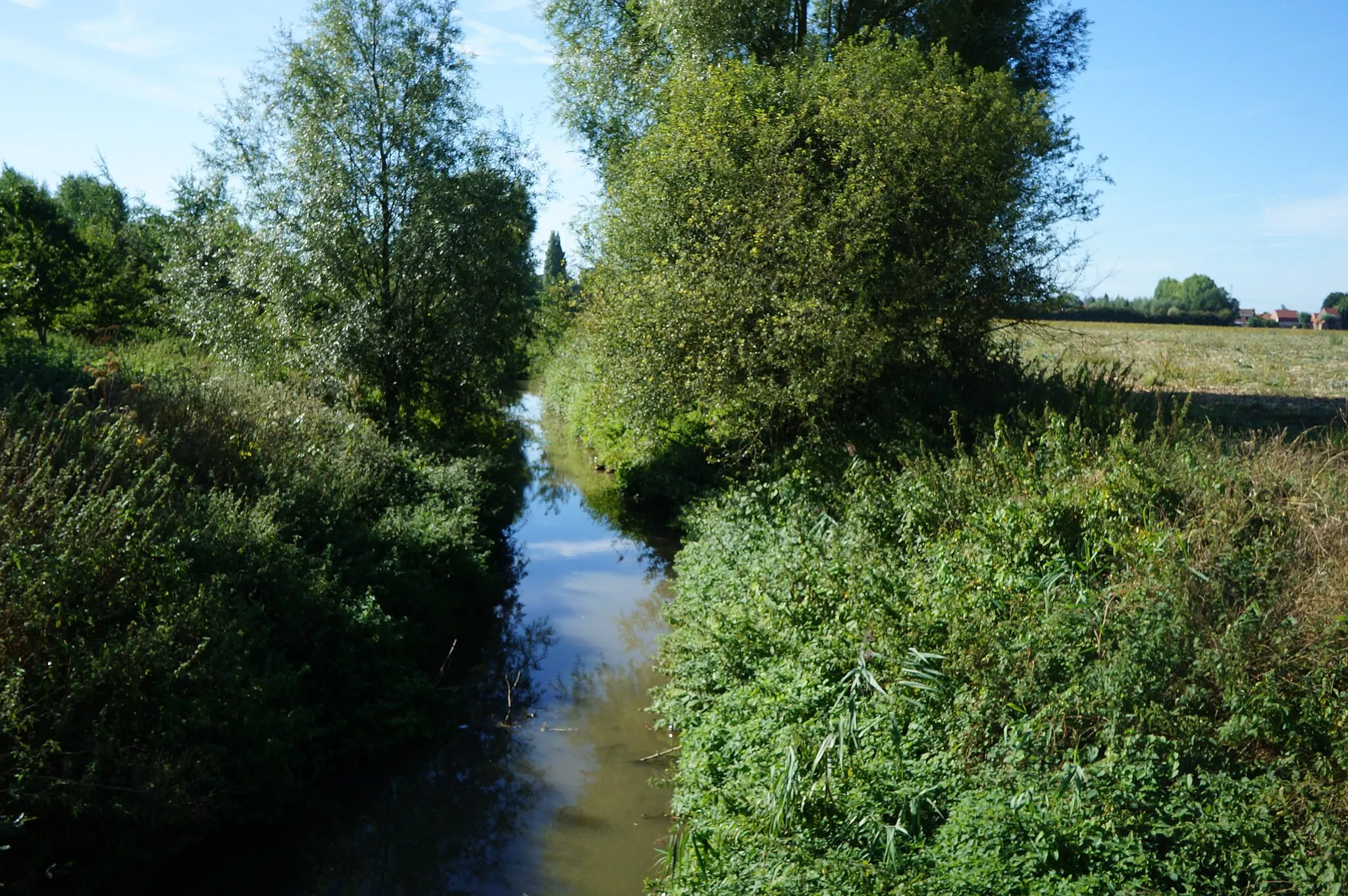 Photo showing: A la jonction des ruisseaux Biestel et Kirlem sur le chemin du Pont de Pierre  Becque à Steenwerck, Nord.- France.