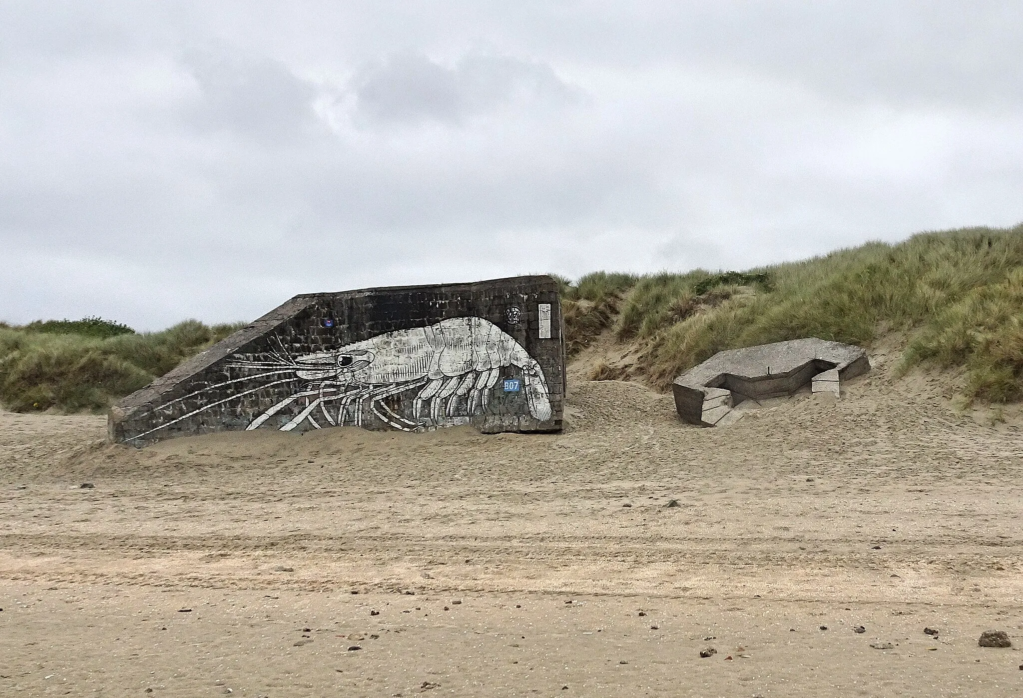 Photo showing: Blockhaus B07 dans les Dunes de Flandres de la réserve naturelle nationale de la dune Marchand Bray-Dunes Nord