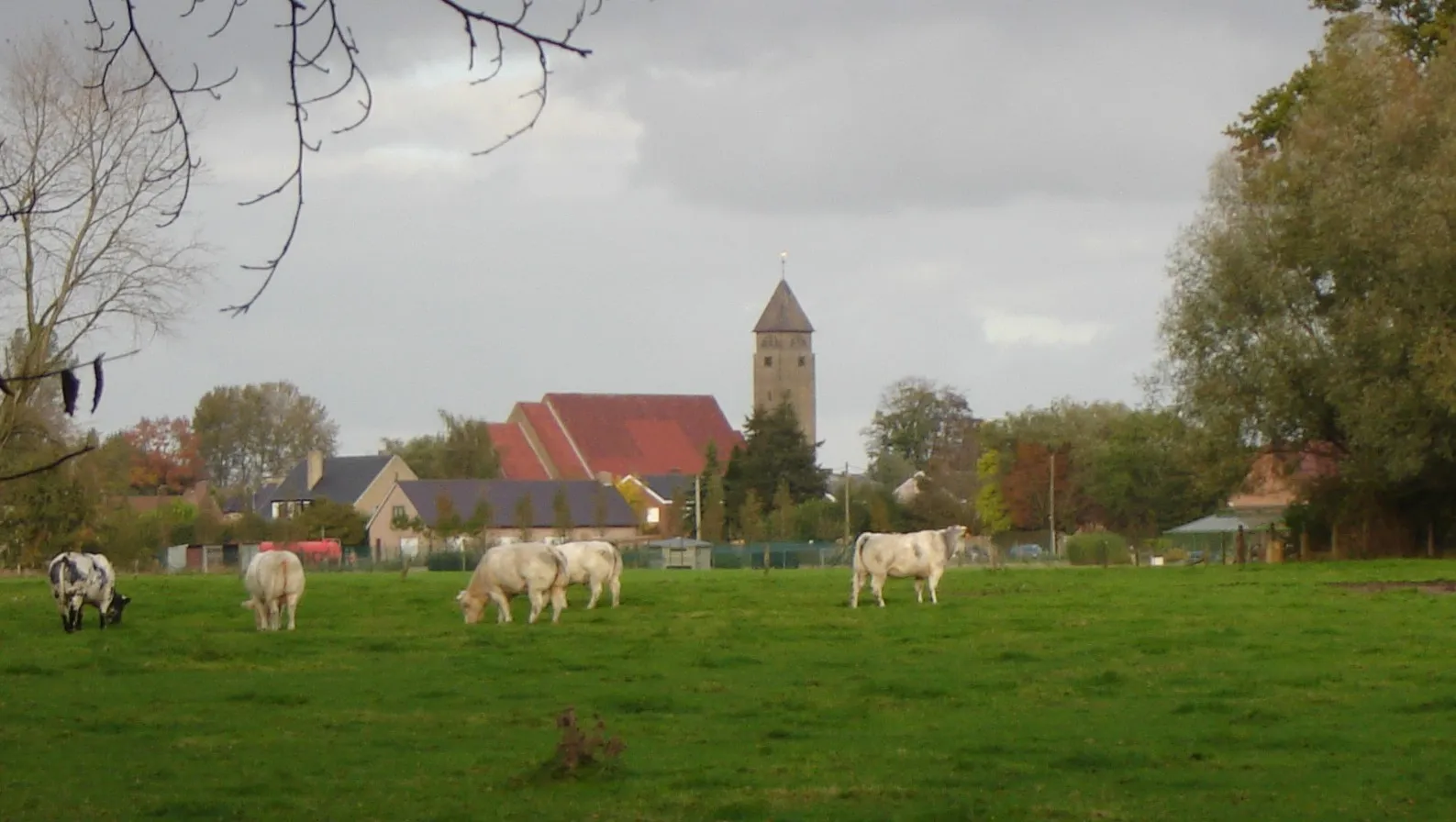 Photo showing: Hamlet 't Veld in Meulebeke, West-Flanders, Belgium. Picture taken from provincial domain 't Veld in Ardooie