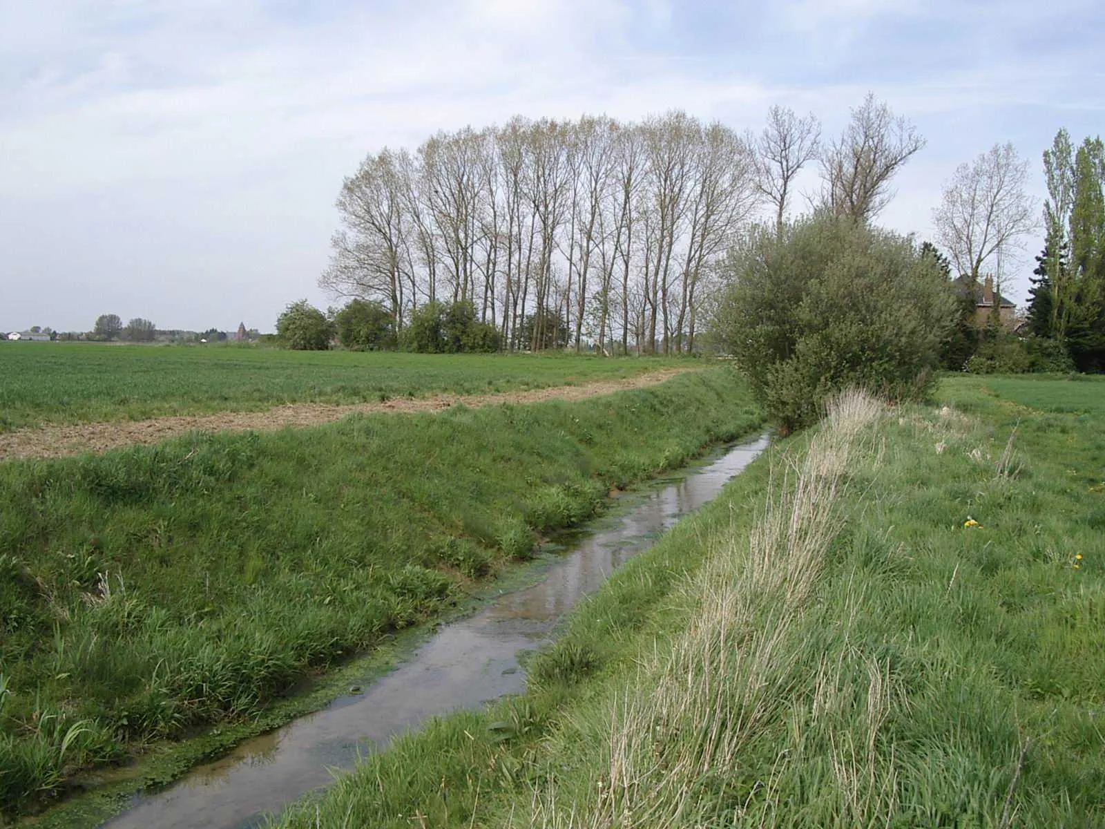 Photo showing: La "Rivière des Layes" à Aubers qui sépare Le Nord et le pas-de-Calais.