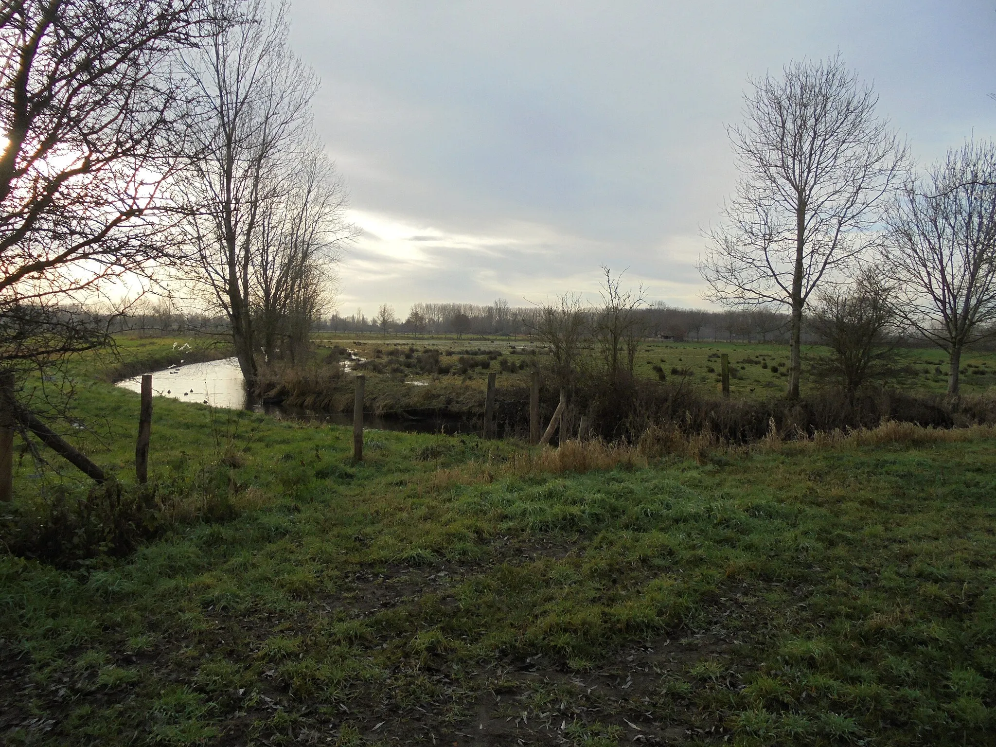 Photo showing: De Assebroekse Meersen - Brugge - West-Vlaanderen - België