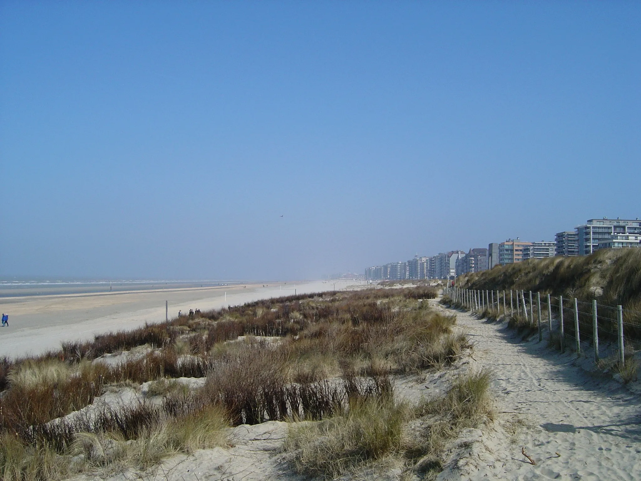 Photo showing: De Panne: Playa y apartamentos