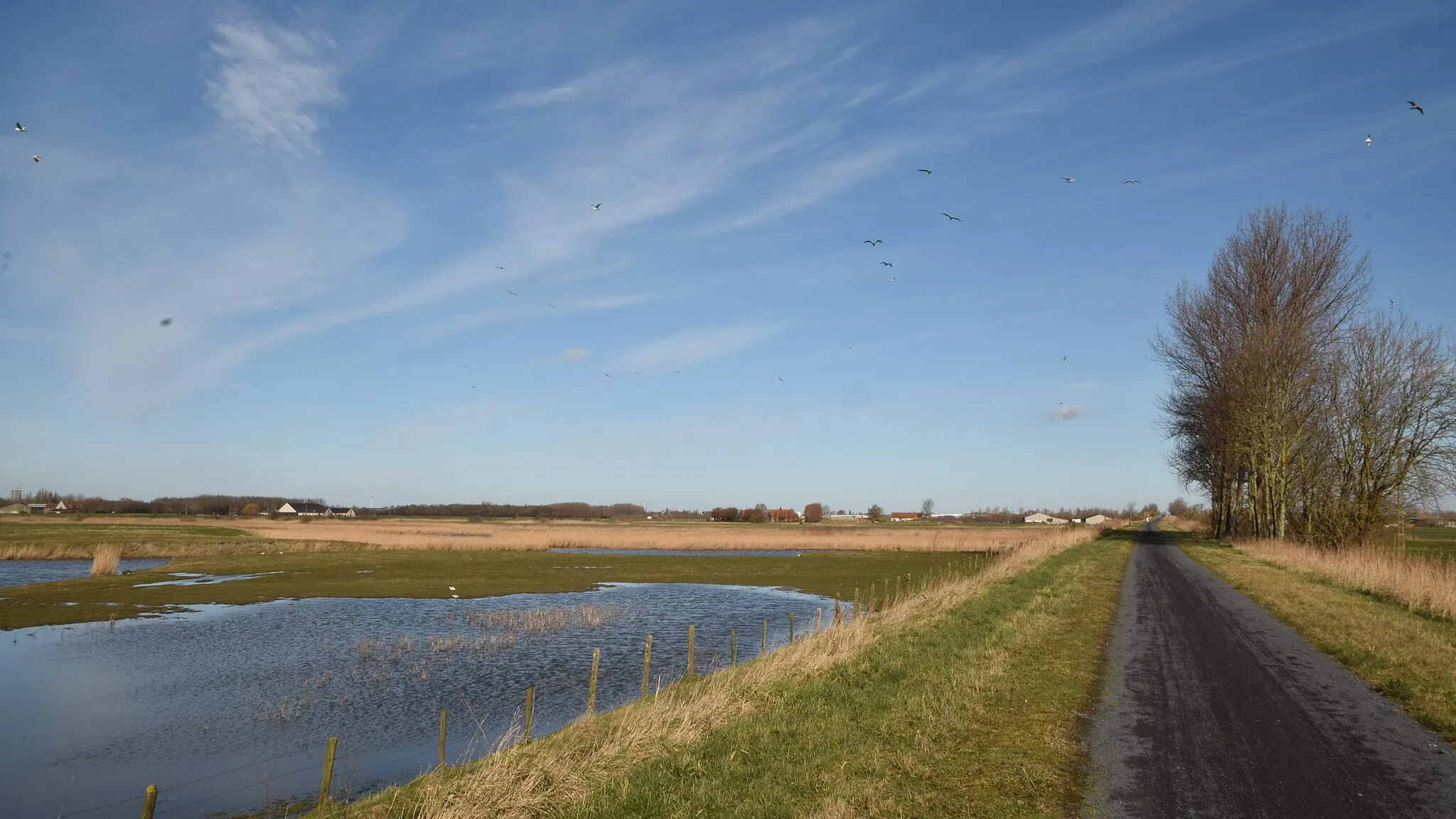 Photo showing: De polders en kreken van Oostende zijn restanten van de doorbraak van de zee door de kustduinen begin 17de eeuw. Toen het Spaanse leger Oostende belegerde werd een bres in de duinen gegraven waardoor de zee het land binnen drong.

The polders and creeks of Ostend are remnants of the breakthrough of the Northsea in the early 17th century. As the Spanish army was besieging Ostend, the defenders dug a breach into the coastal dunes, causing the sea to enter the country.