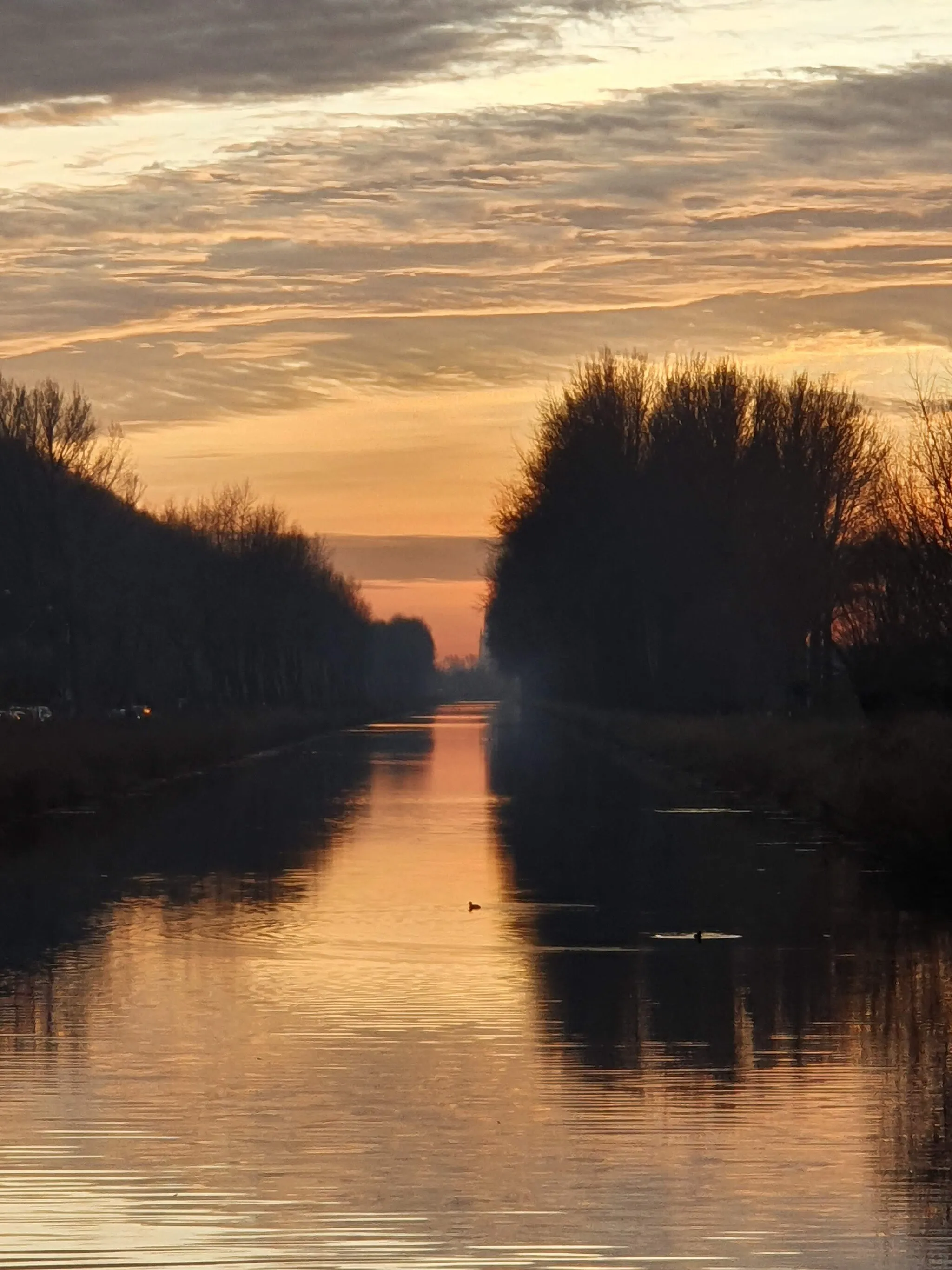 Photo showing: Damme, le canal au couché du soleil.