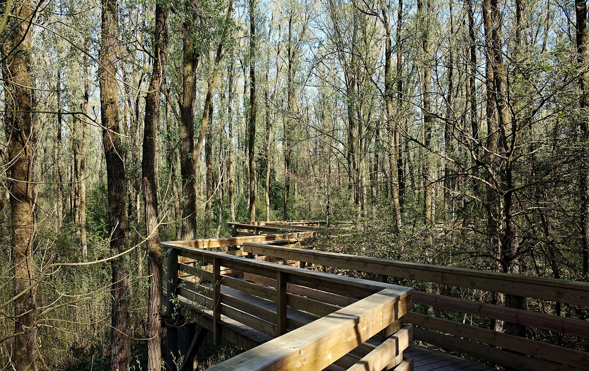 Photo showing: Le Perchoir (the perch), in the wood of La Gite, in Santes.