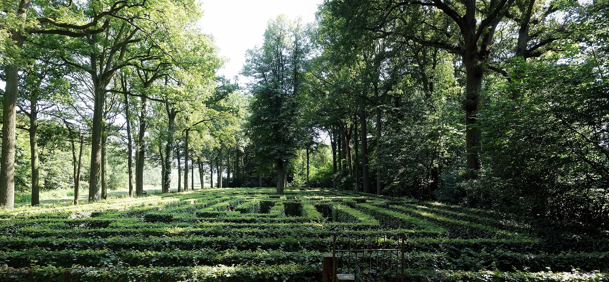 Photo showing: Le labyrinthe du parc du château de Loppem (Belgique).
