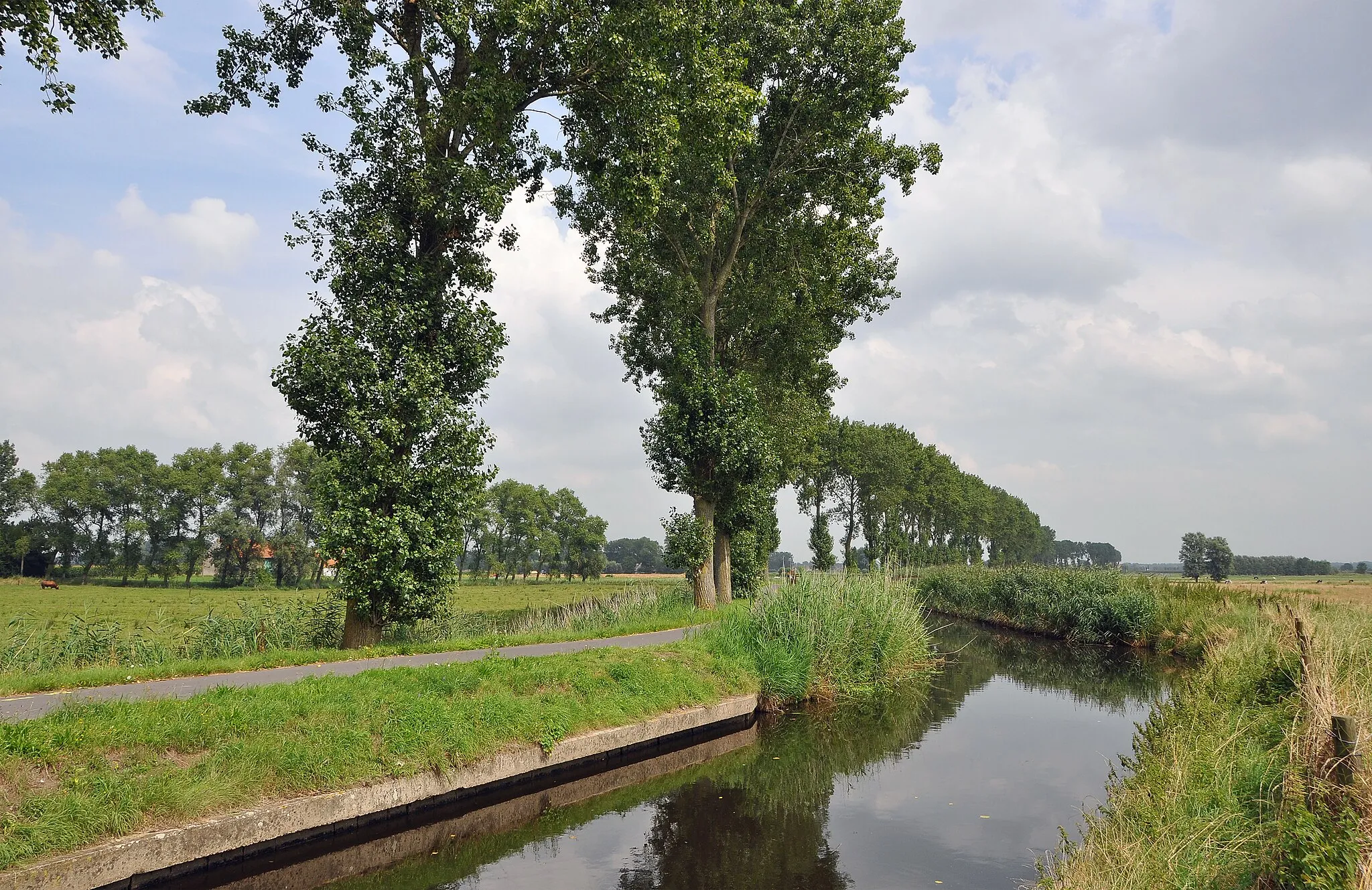 Photo showing: Westkerke (municipality of Oudenburg, province of West Flanders, Belgium): the Bourgogne canal