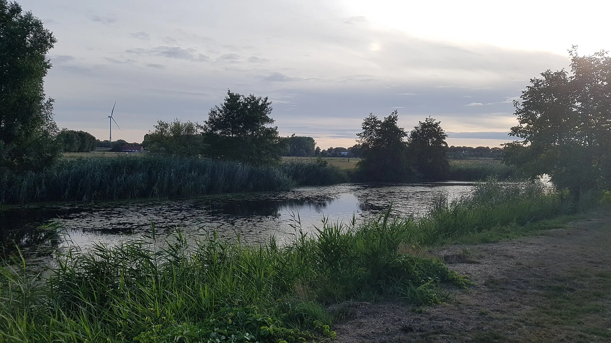 Photo showing: Oude Leiearm Sint - Baafs - Vijve. Hier vindt de Hondenzwemming jaarlijks plaats.