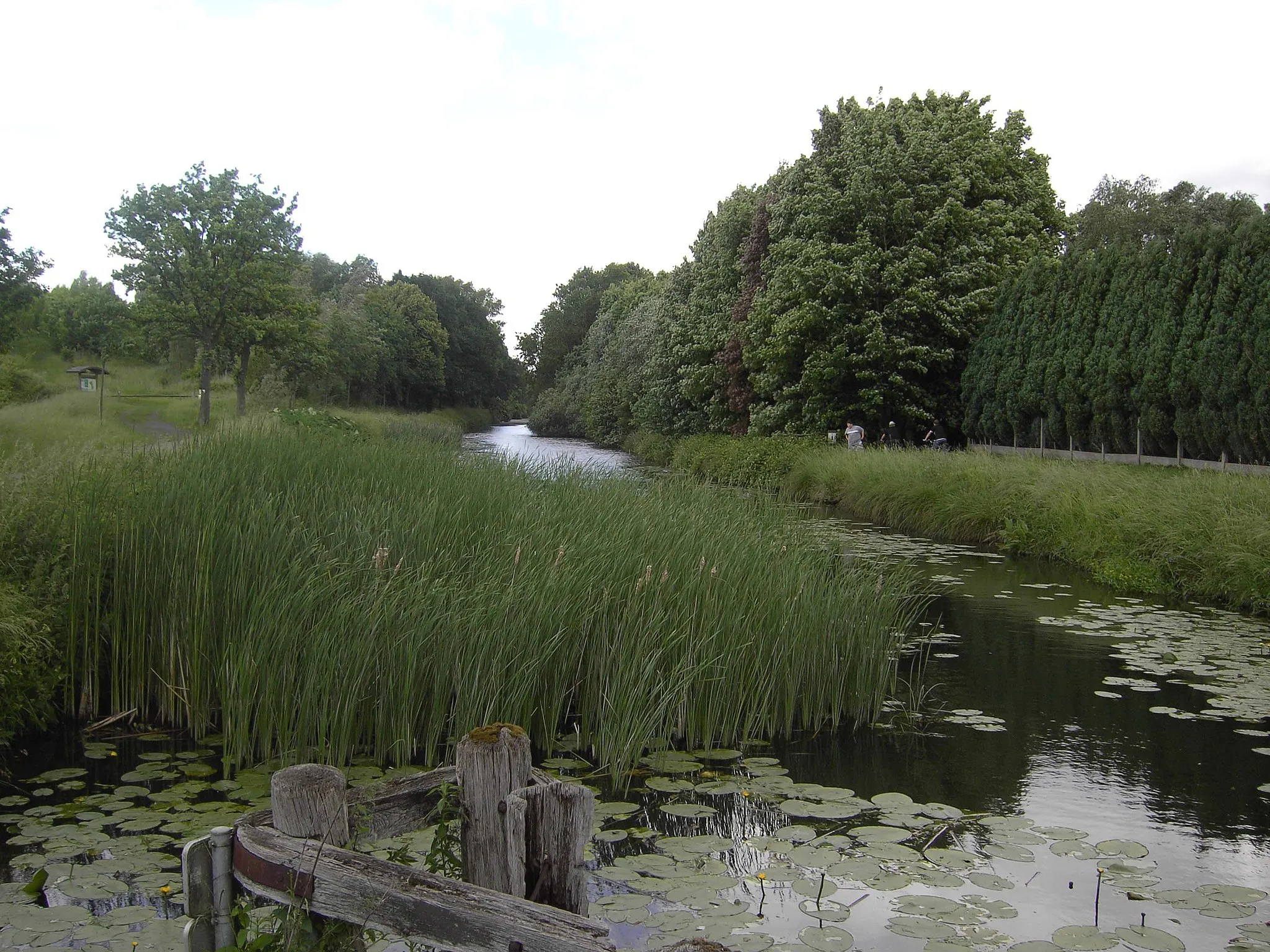 Photo showing: Oud kanaal Kortrijk-Bossuit - nabij de Processieweg - Moen - Zwevegem - West-Vlaanderen - België
