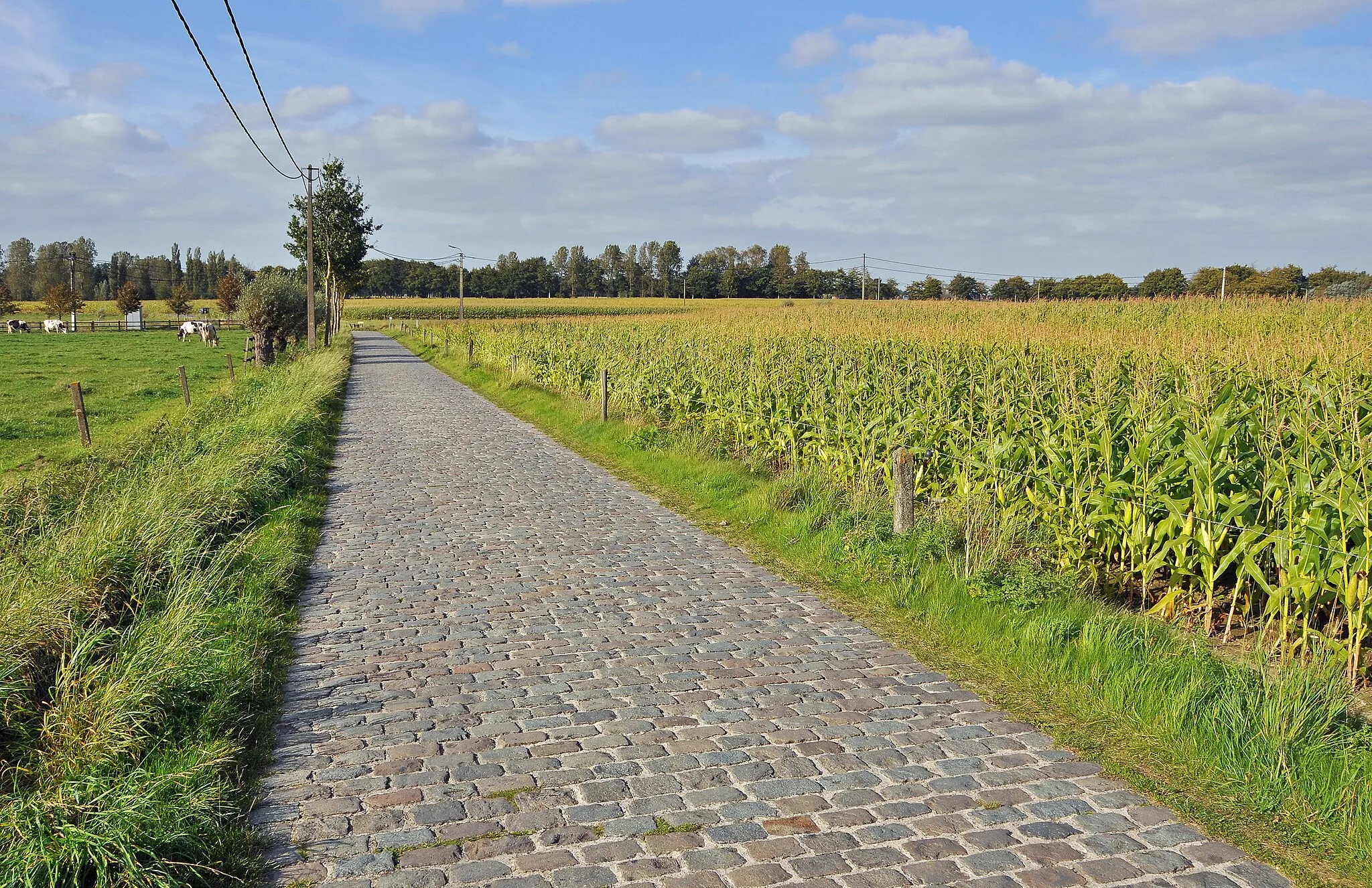 Photo showing: Oedelem (Beernem, Belgium): Weg naar Sint-Kruis (historic road)