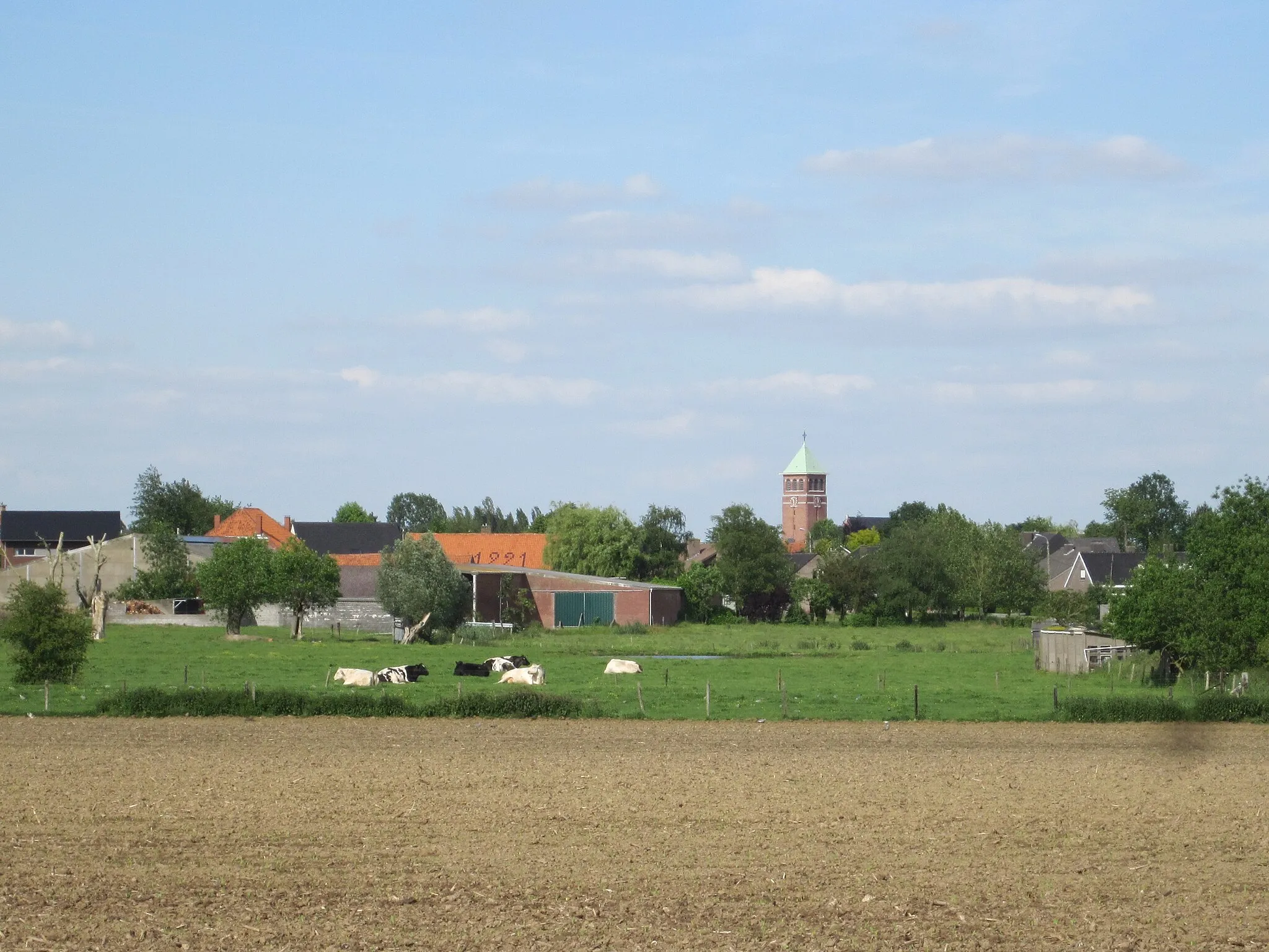 Photo showing: Zilverberg in Rumbeke (Roeselare)