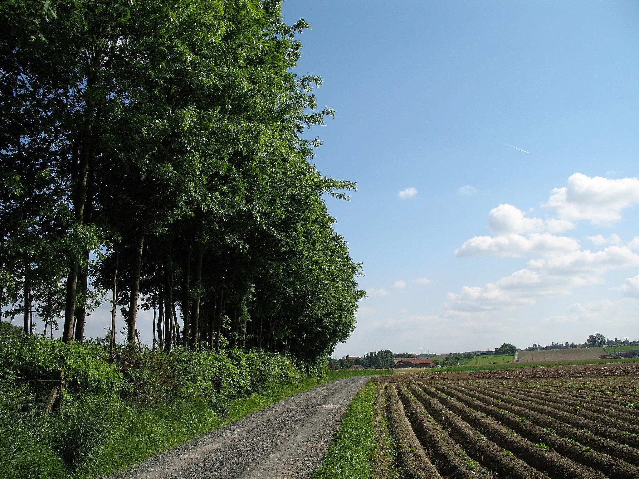 Photo showing: The countryside of the Ingooigem province of West Flanders, Belgium.  On the right are the slopes of Tiegemberg Hill.