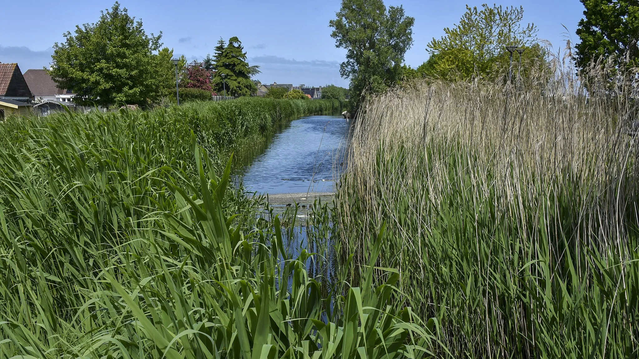 Photo showing: Ieperlee Oudenburg 30-05-2023 13-06-34