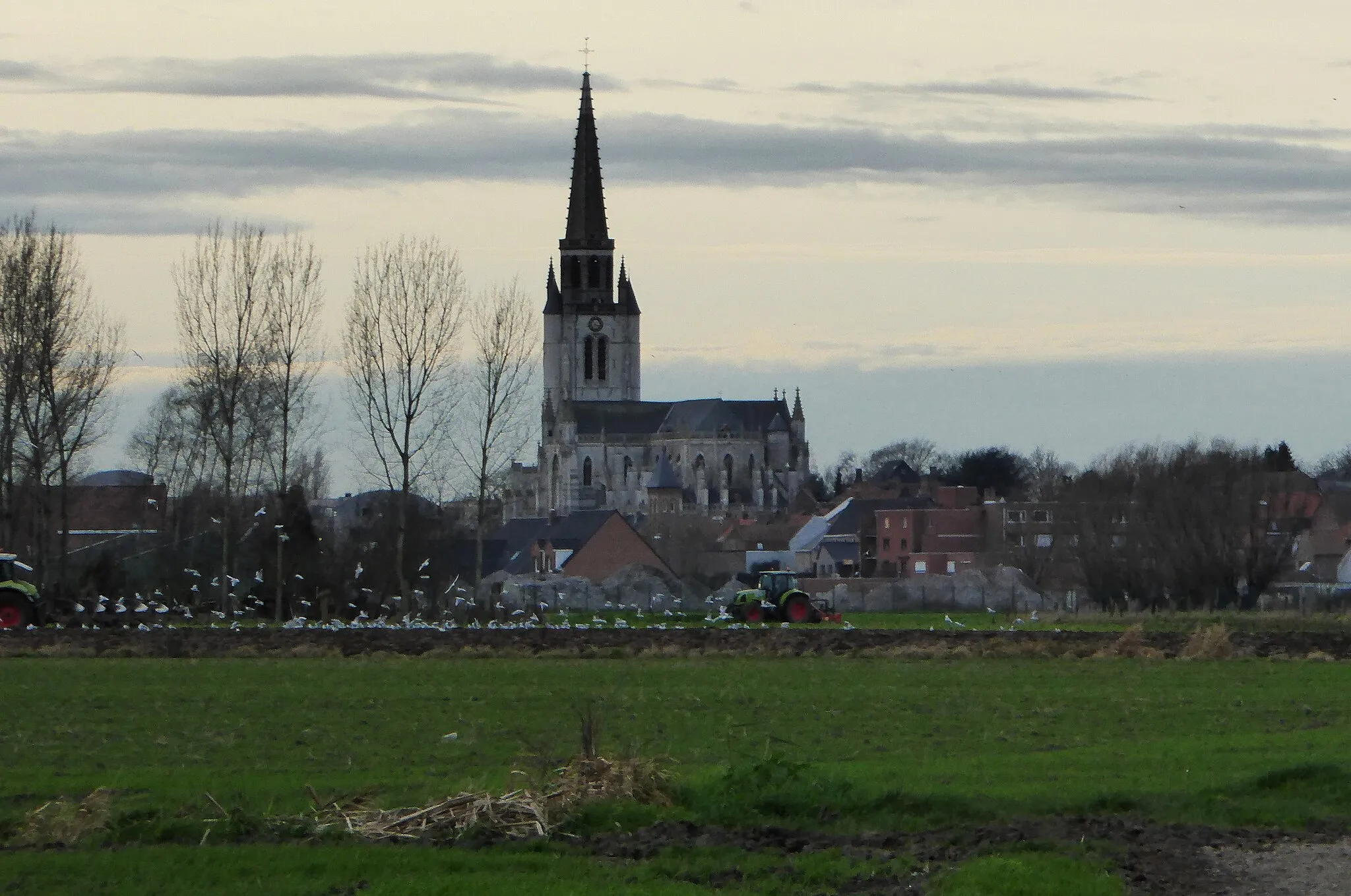 Photo showing: Wervik (Belgique), et l'église Saint-Médard