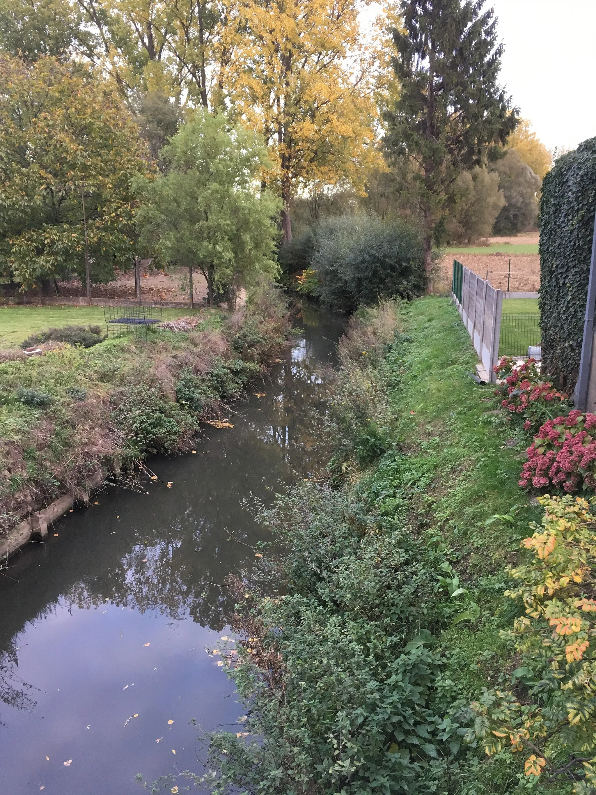 Photo showing: De Bellebeek ter hoogte van Teralfene op de grens met Liedekerke