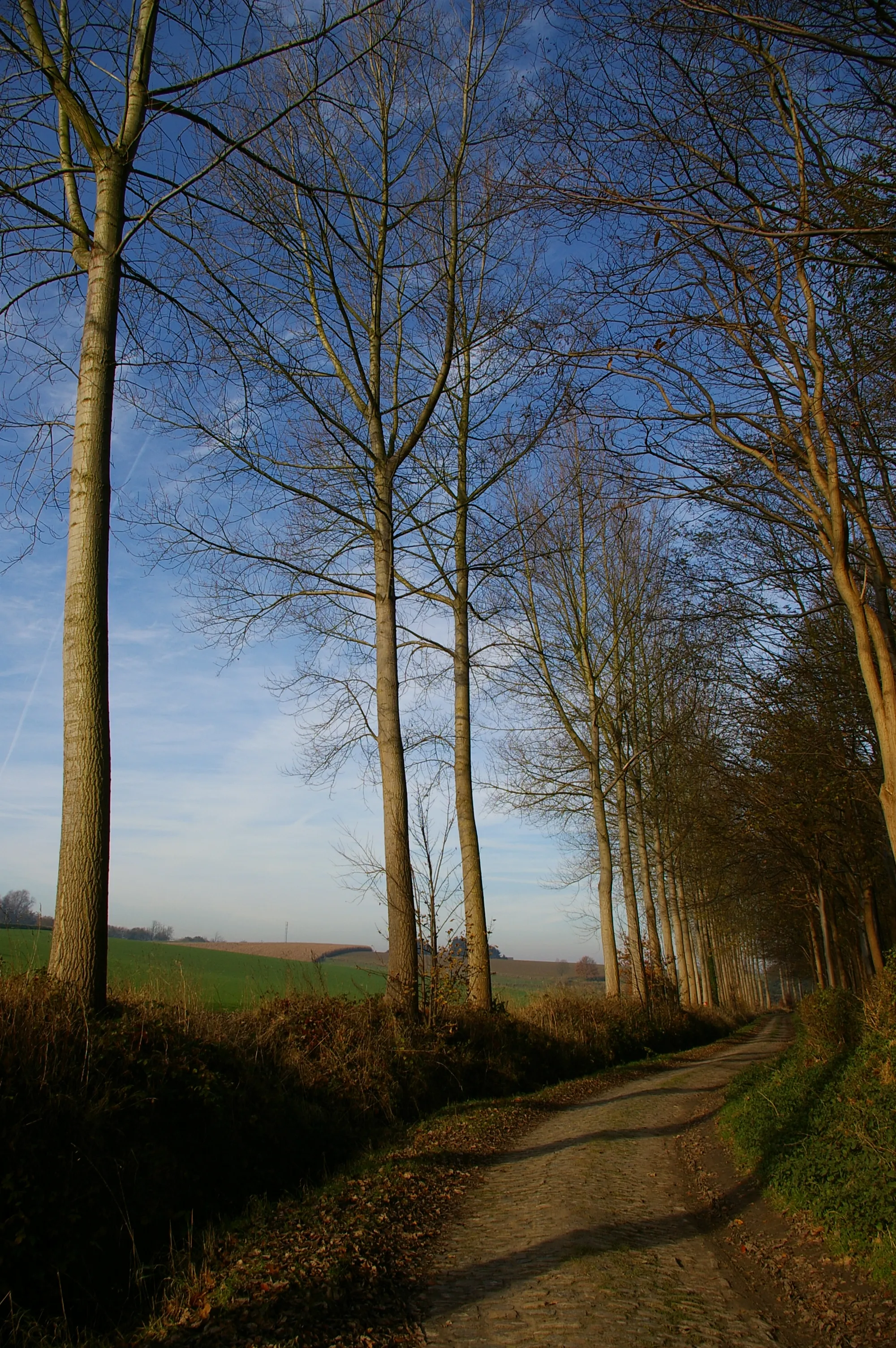 Photo showing: This photo of immovable heritage has been taken in the Walloon Region