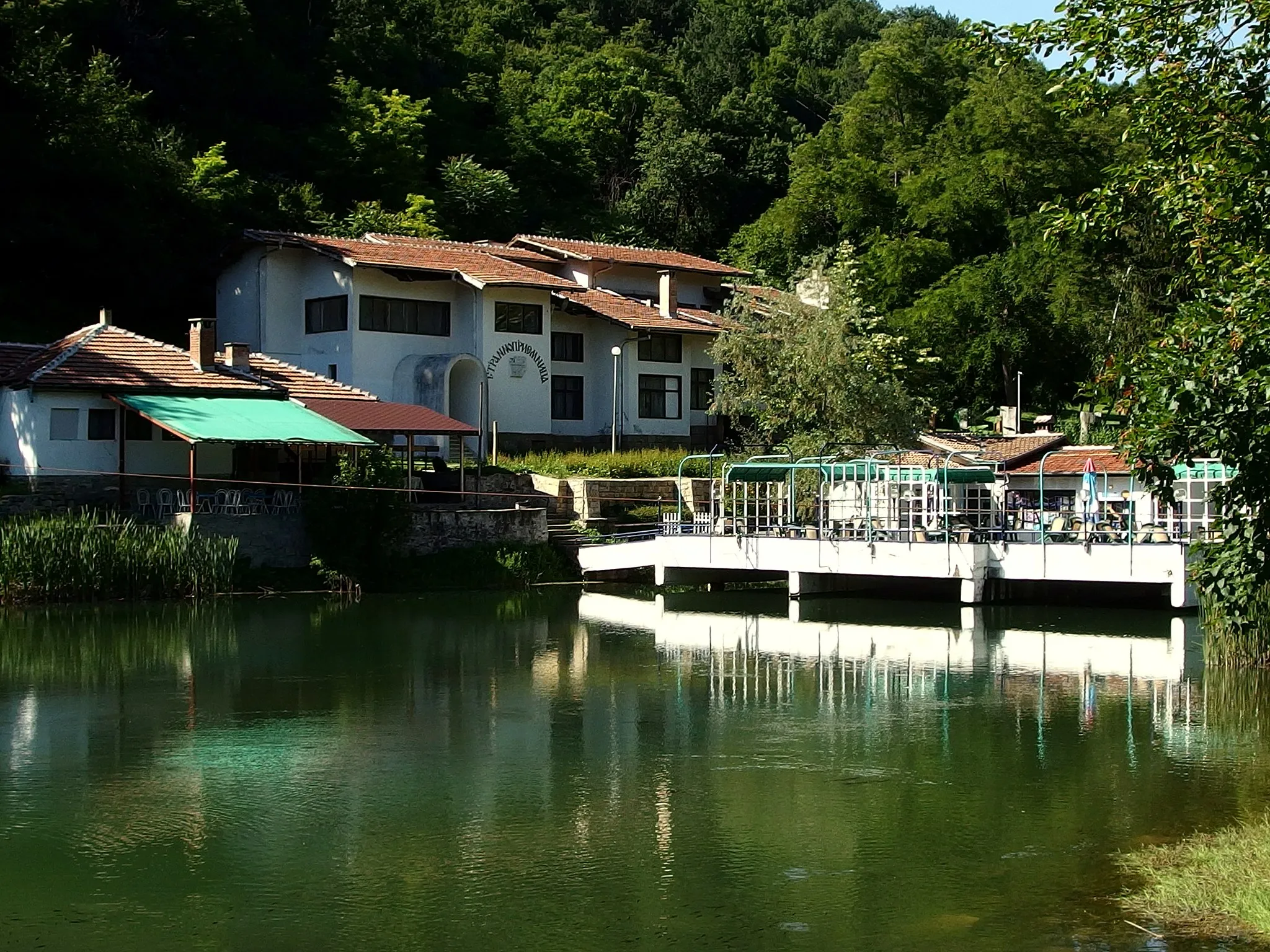 Photo showing: 2014-06-23 between Arbanasi and Veliko Tarnovo.