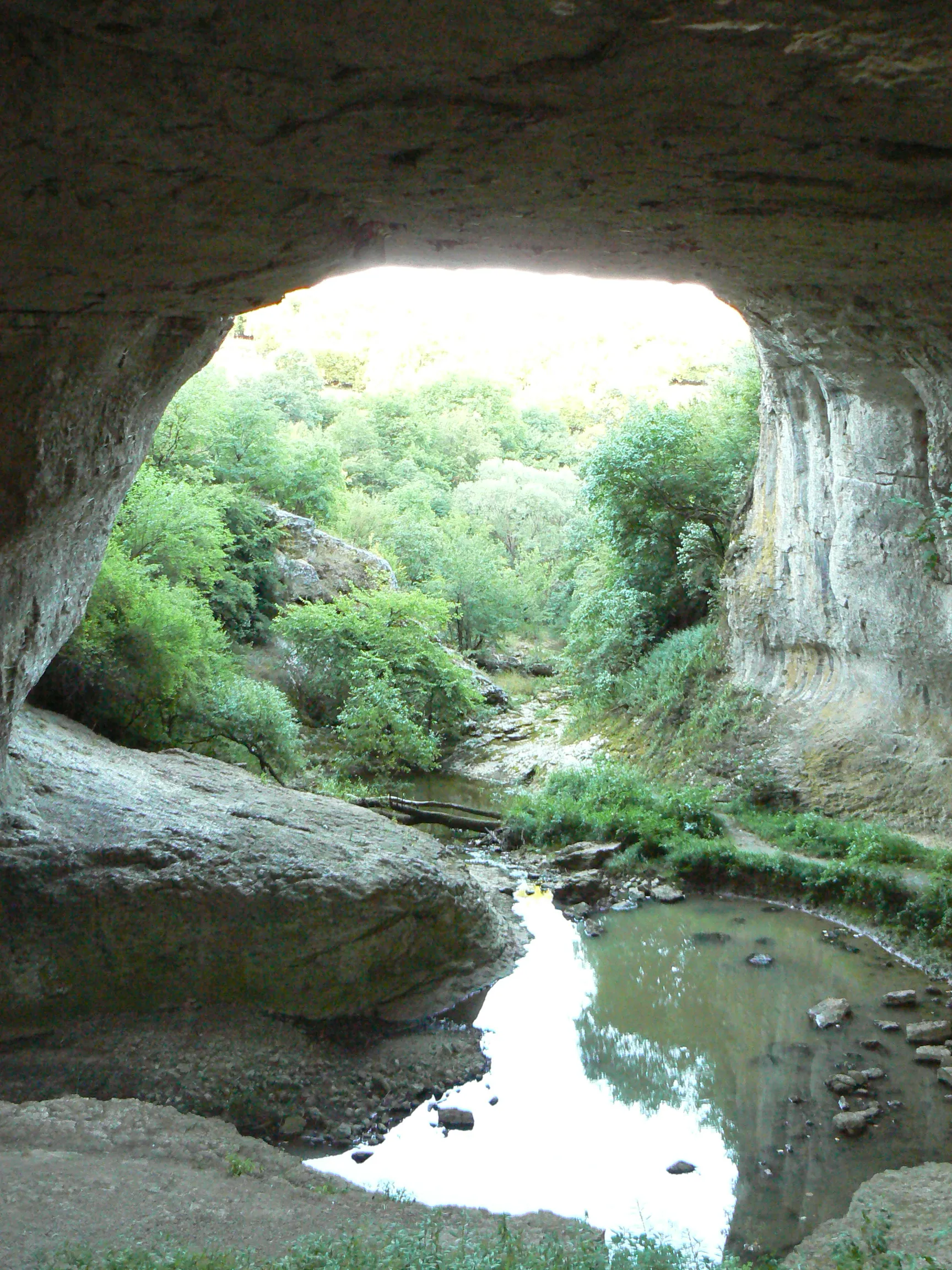 Photo showing: The rock bridge phenomenon Bozhi most (Gog's bridge) in Chiren-Lilyache karst region in Bulgaria