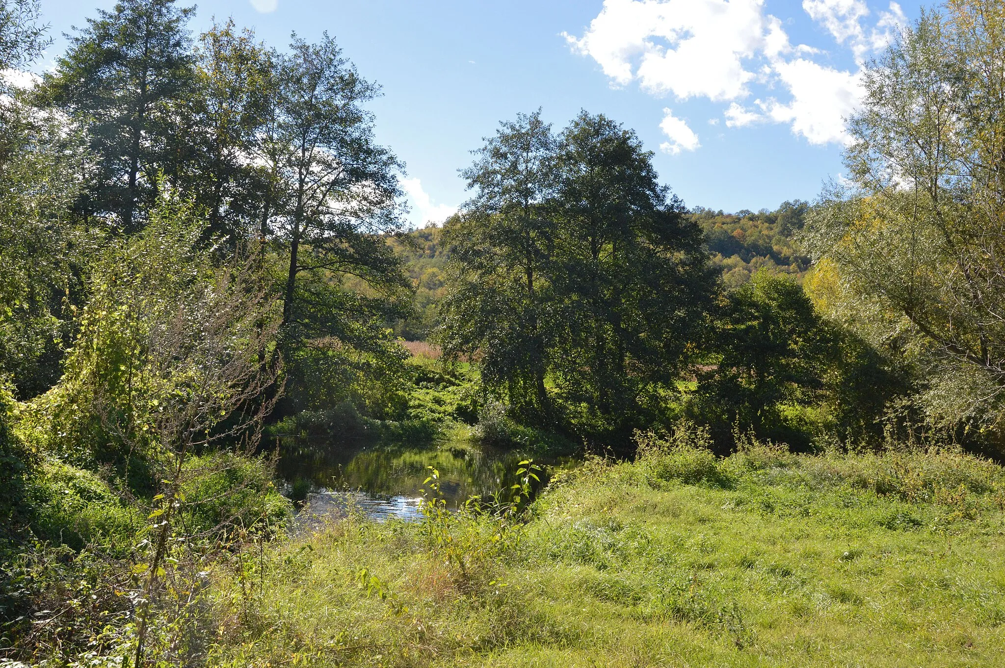 Photo showing: Bebresh river near Bozhenitsa, Botevgrad municipality Bulgaria.