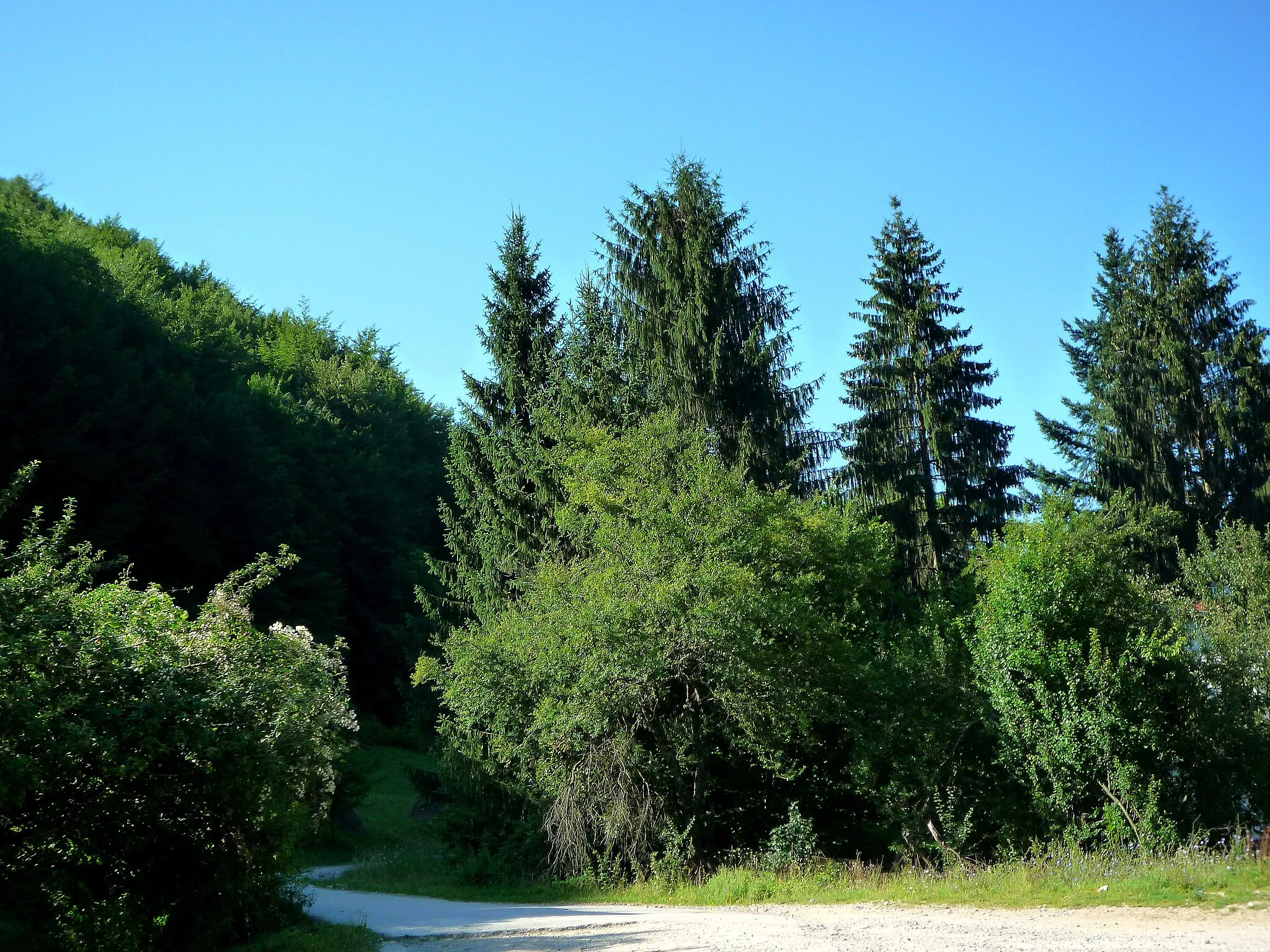 Photo showing: road to Yamna