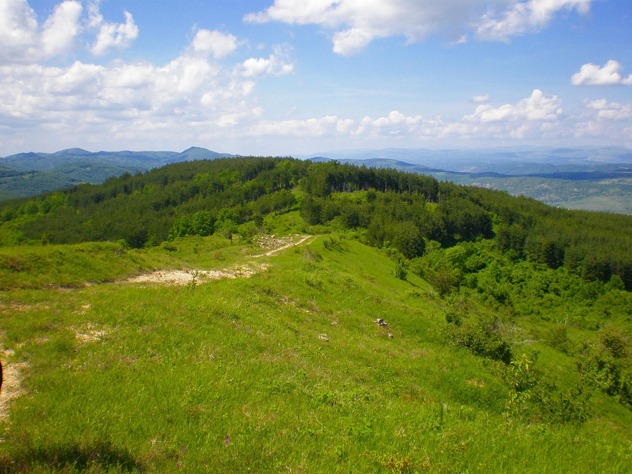 Photo showing: Landscape