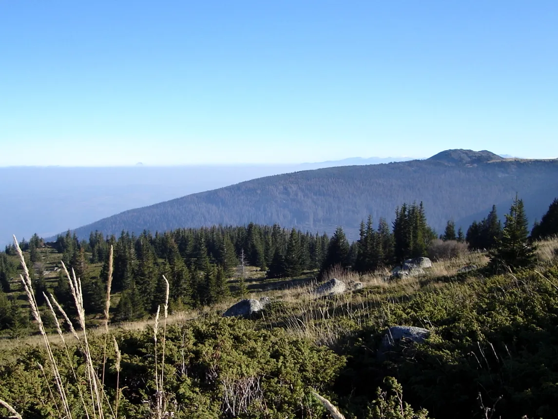 Photo showing: Golyam Kupen Peak in Bistrishko Branishte Nature Reserve, Vitosha Mountain, Bulgaria.  Photograph by Kiril Kapustin published in www.ImagesFromBulgaria.com under Creative Commons license 2.5.