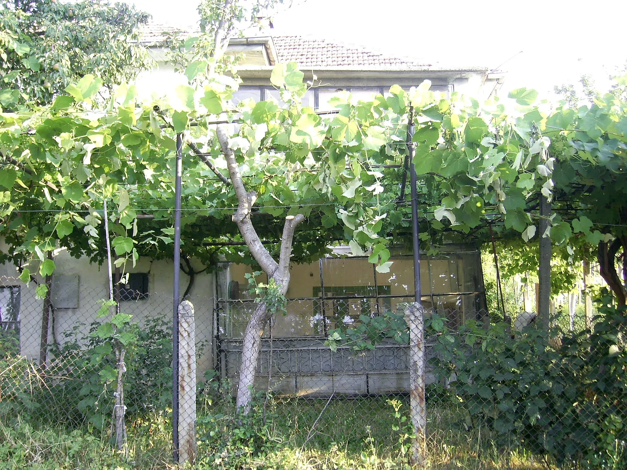 Photo showing: Пейзаж от Пирин. Къща в село Кремен, област Благоевград (2007-07-15)