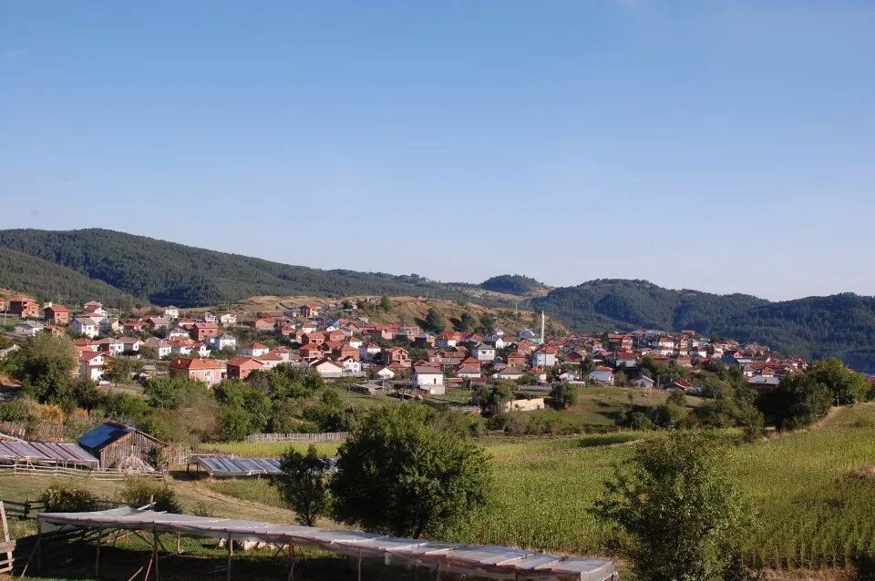 Photo showing: Ribnovo from South