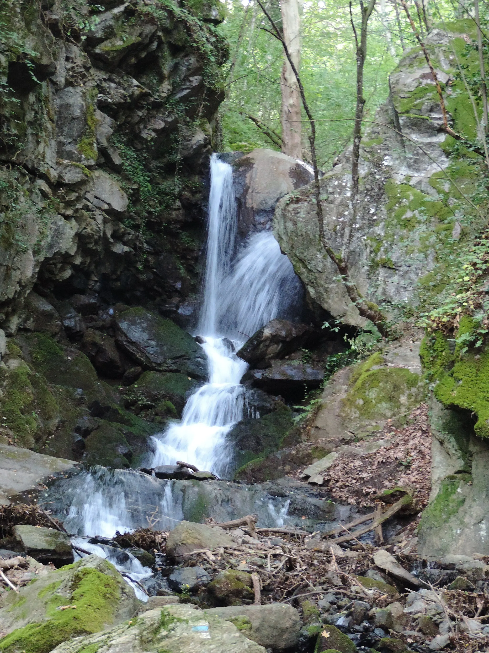 Photo showing: Yavornishki waterfall, Belasitsa, Bulgaria