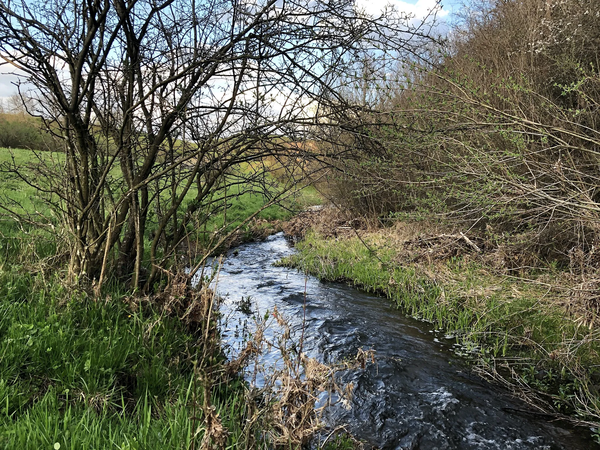 Photo showing: Delyanska river near Zlatusha village.