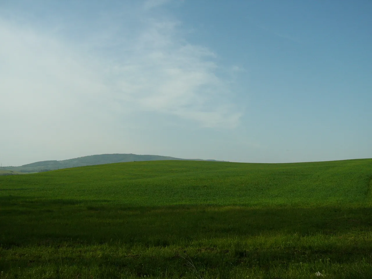 Photo showing: A field near Rudartsi, Bulgaria.