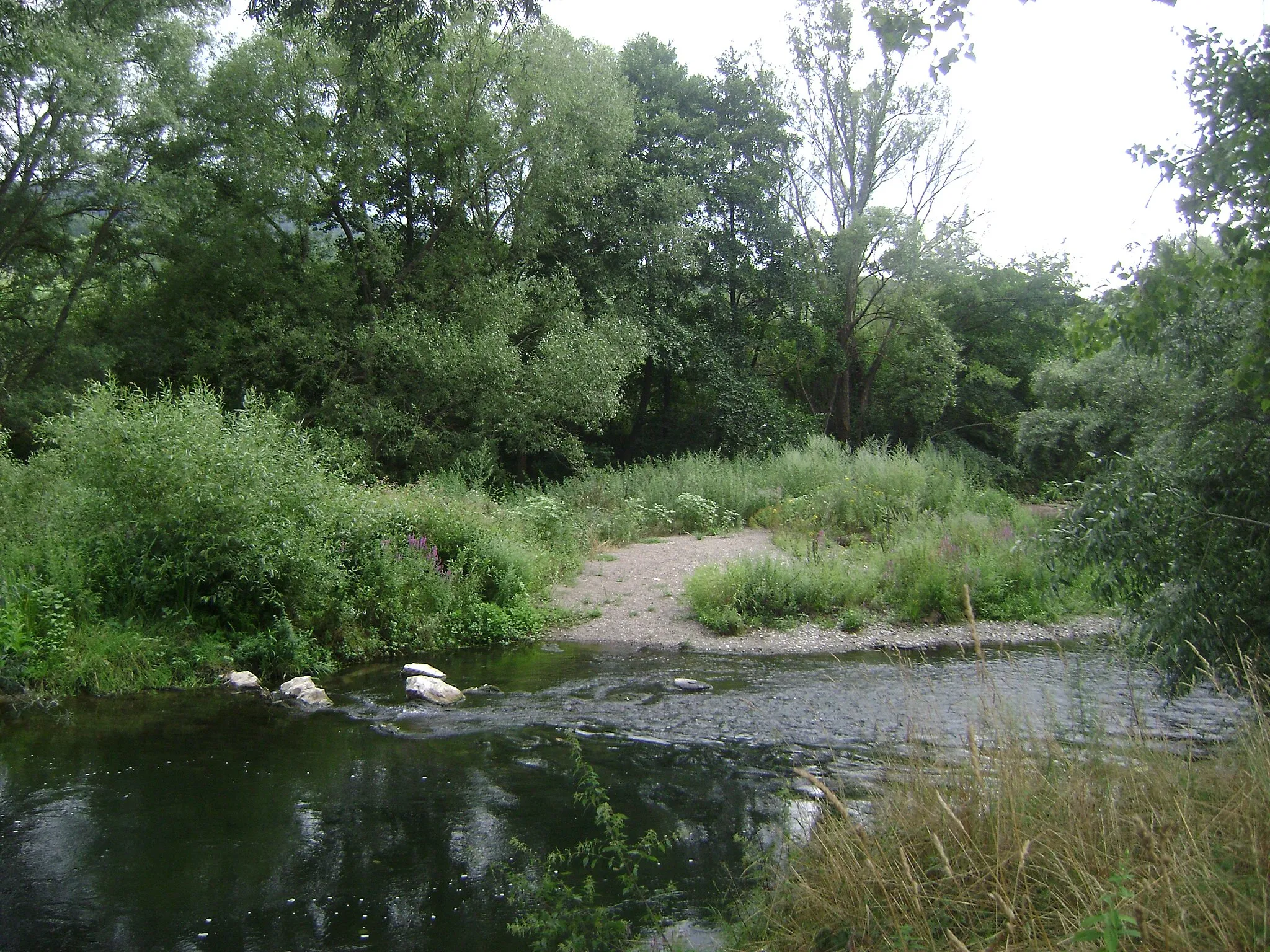 Photo showing: An island in the river (Struma) which makes it's way through the middle of the village