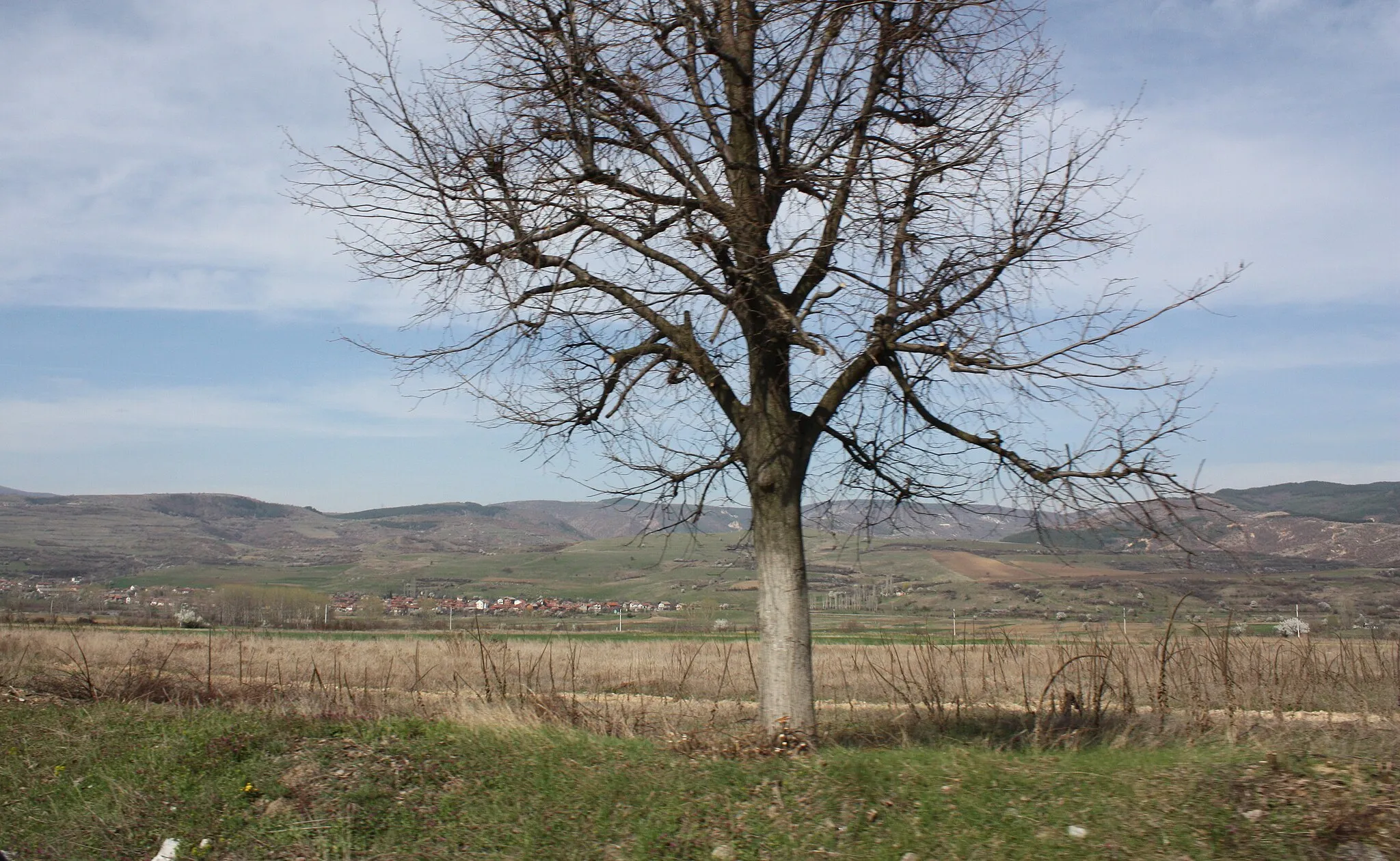 Photo showing: Djakovo, Bulgaria, on the road from Sofia to Rilski manastir