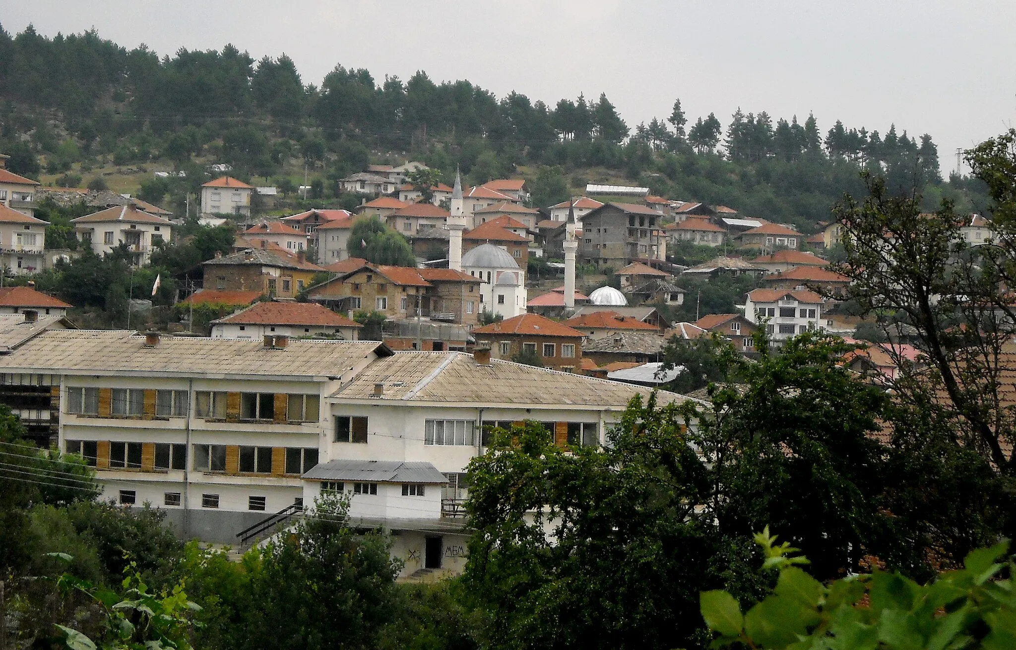 Photo showing: Mosques and school in the village of Dolno Drianovo.