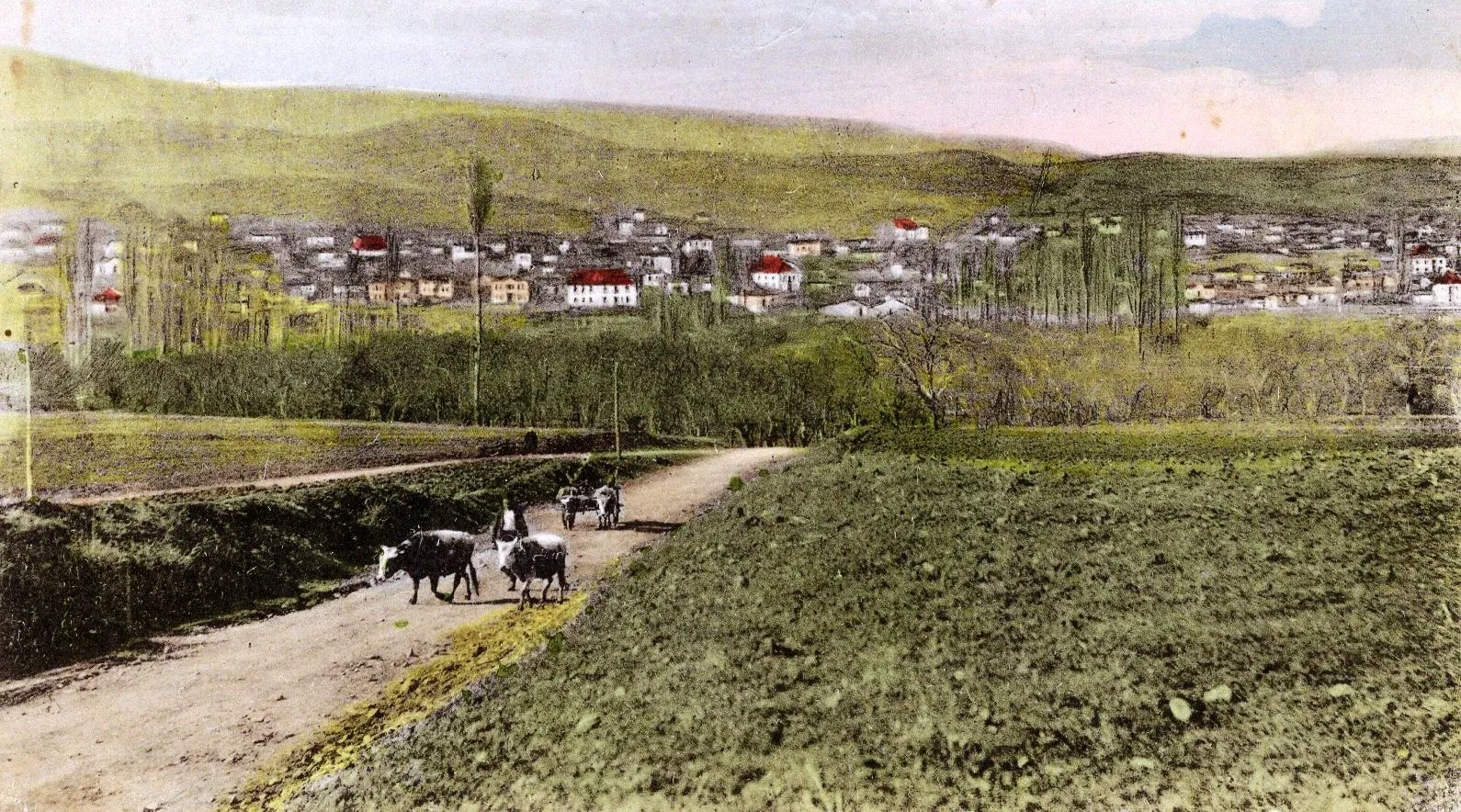 Photo showing: Village Carevo Selo, Makedonija, nowdays Delchevo, photo 1920's

This media file is produced by Wikipedian in Residence in Category:Wikipedian in Residence at DARM in 2016.