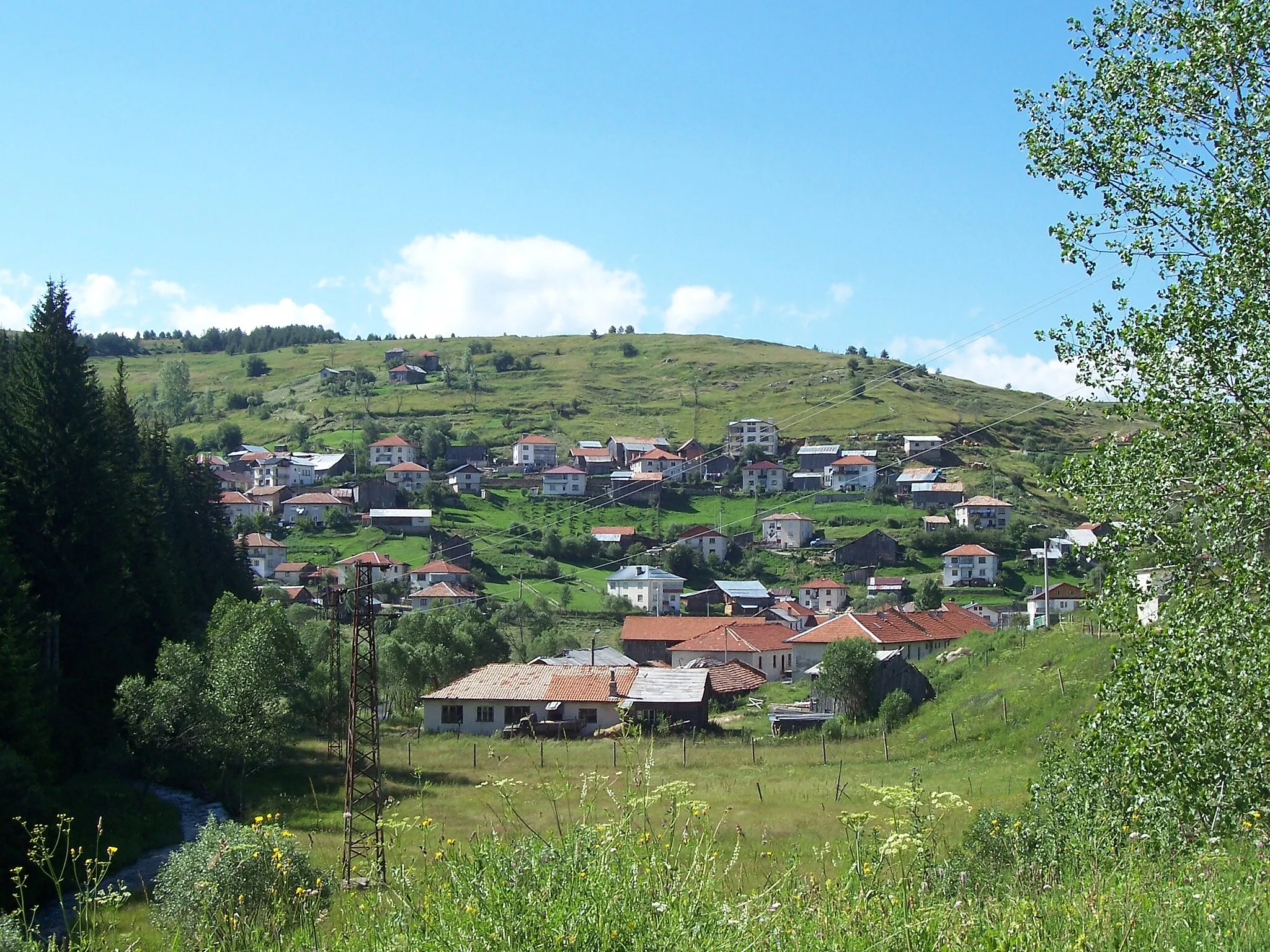 Photo showing: The village of Buinovo, Smolyan District.