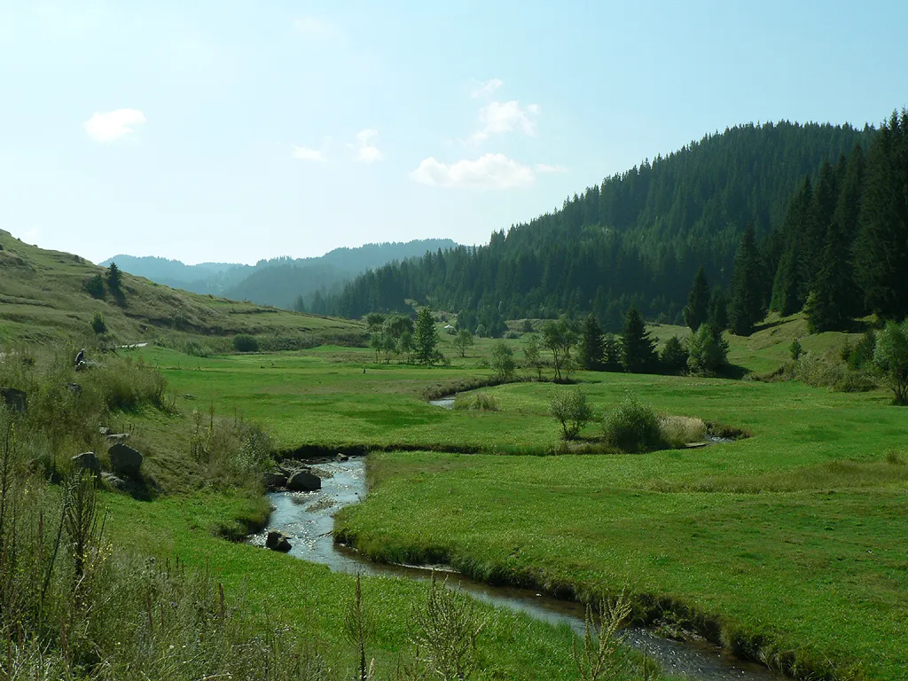 Photo showing: Bujnovo river