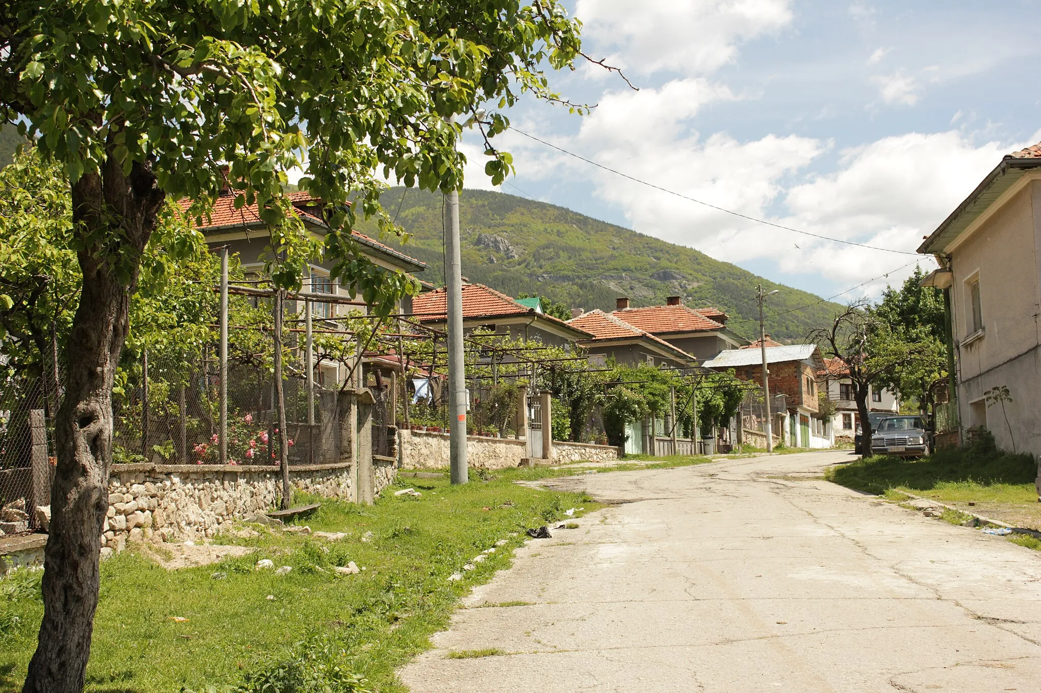 Photo showing: A street in Hristo Danovo