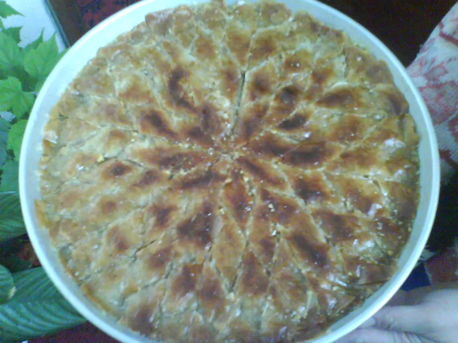 Photo showing: baklava