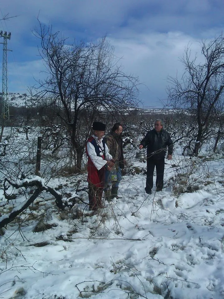 Photo showing: Традиционен обичай "Зарязване" на празника Трифон Зарезан