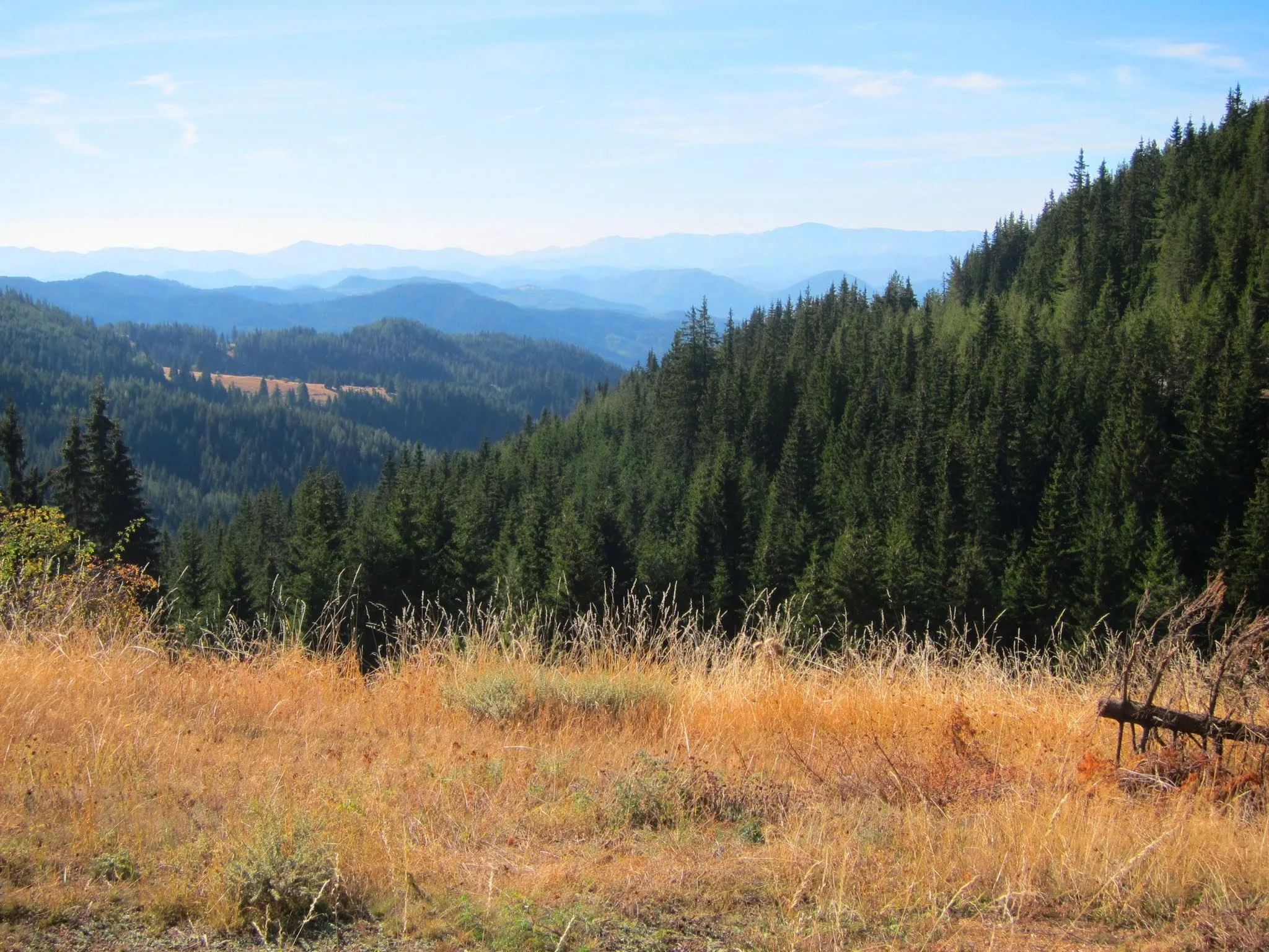 Photo showing: Cascading Mountains