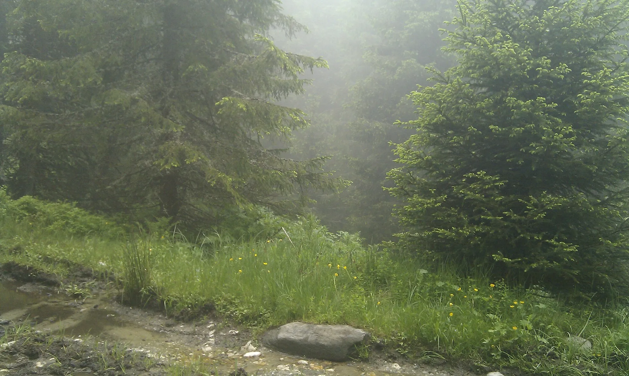 Photo showing: This is a photo of a natural heritage site in Bulgaria, id: