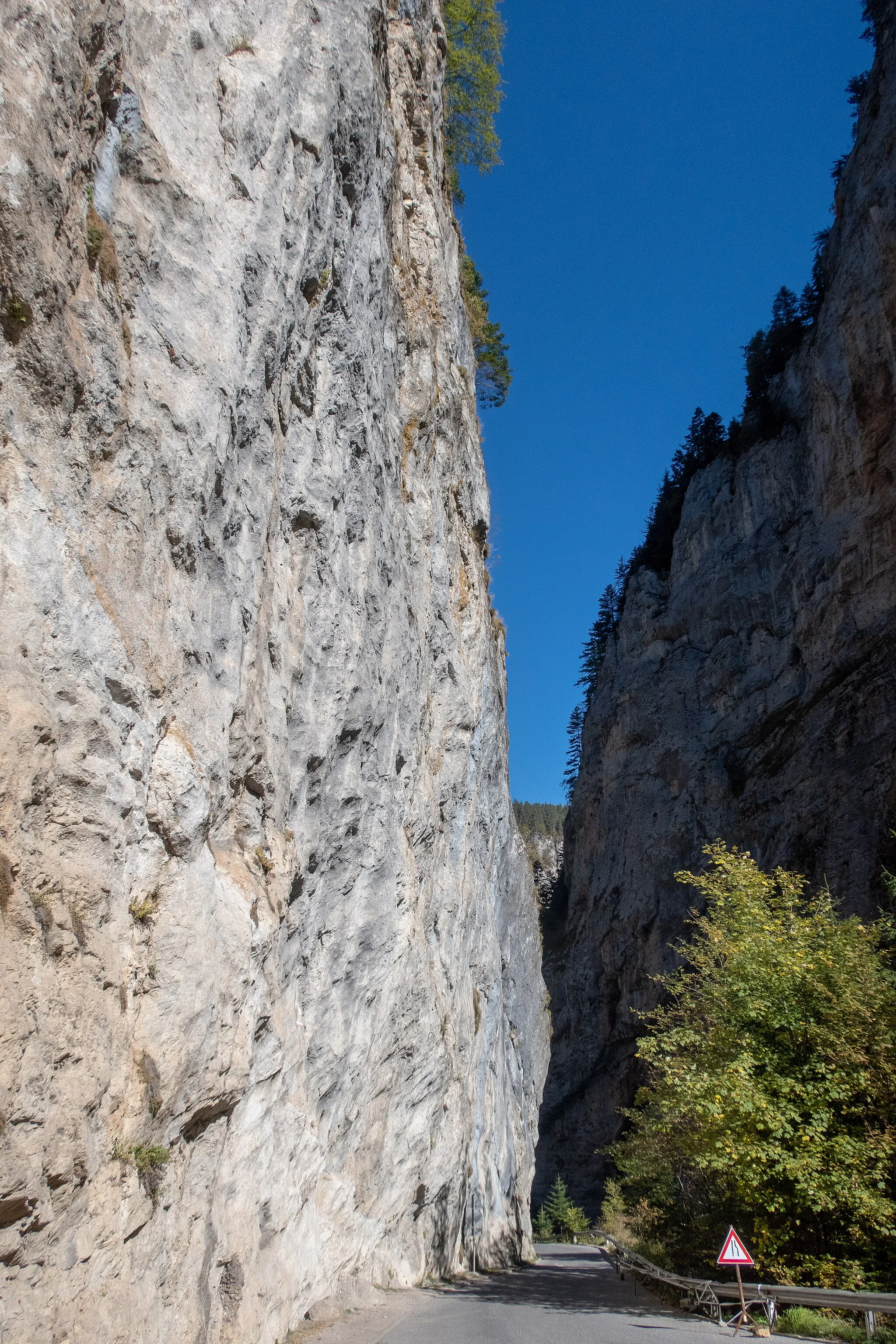 Photo showing: Trigrad Gorge