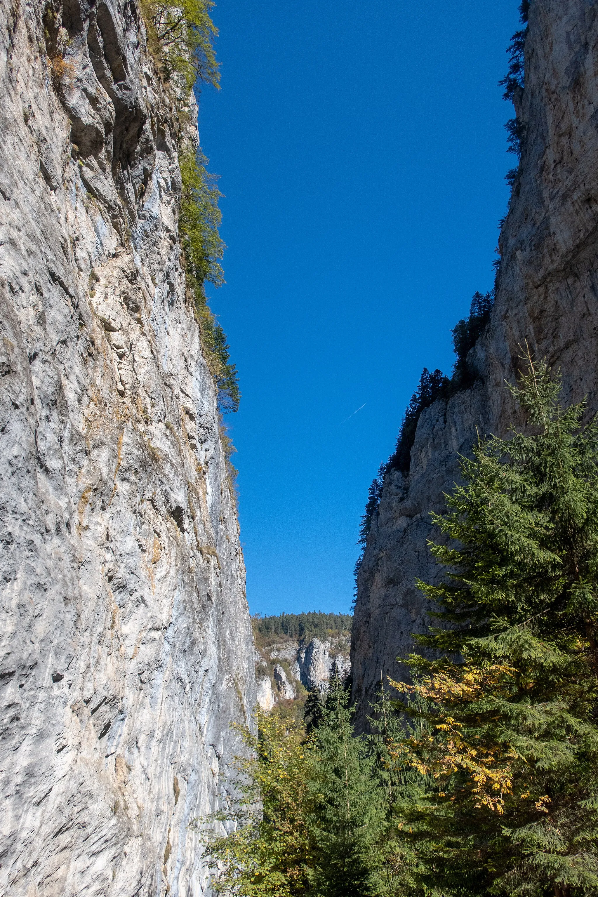 Photo showing: Trigrad Gorge