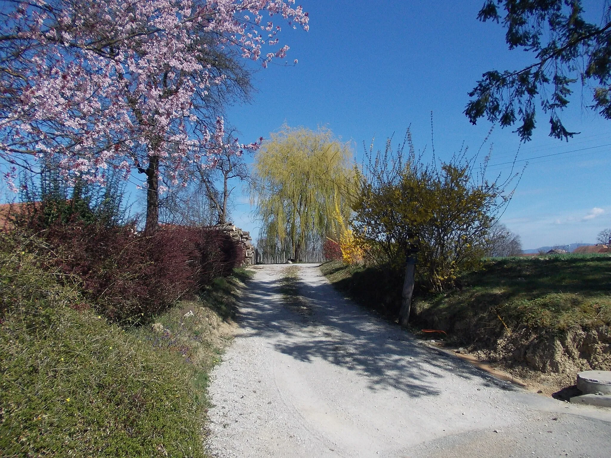 Photo showing: Kapele, Brežice