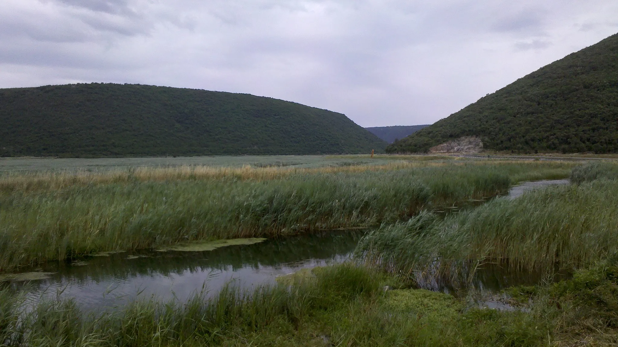 Photo showing: Krapanski Potok (tributary to River Raša)