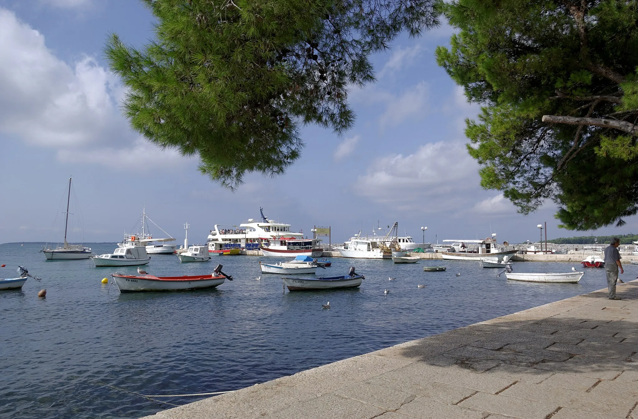 Photo showing: Croatia, Fažana, harbour